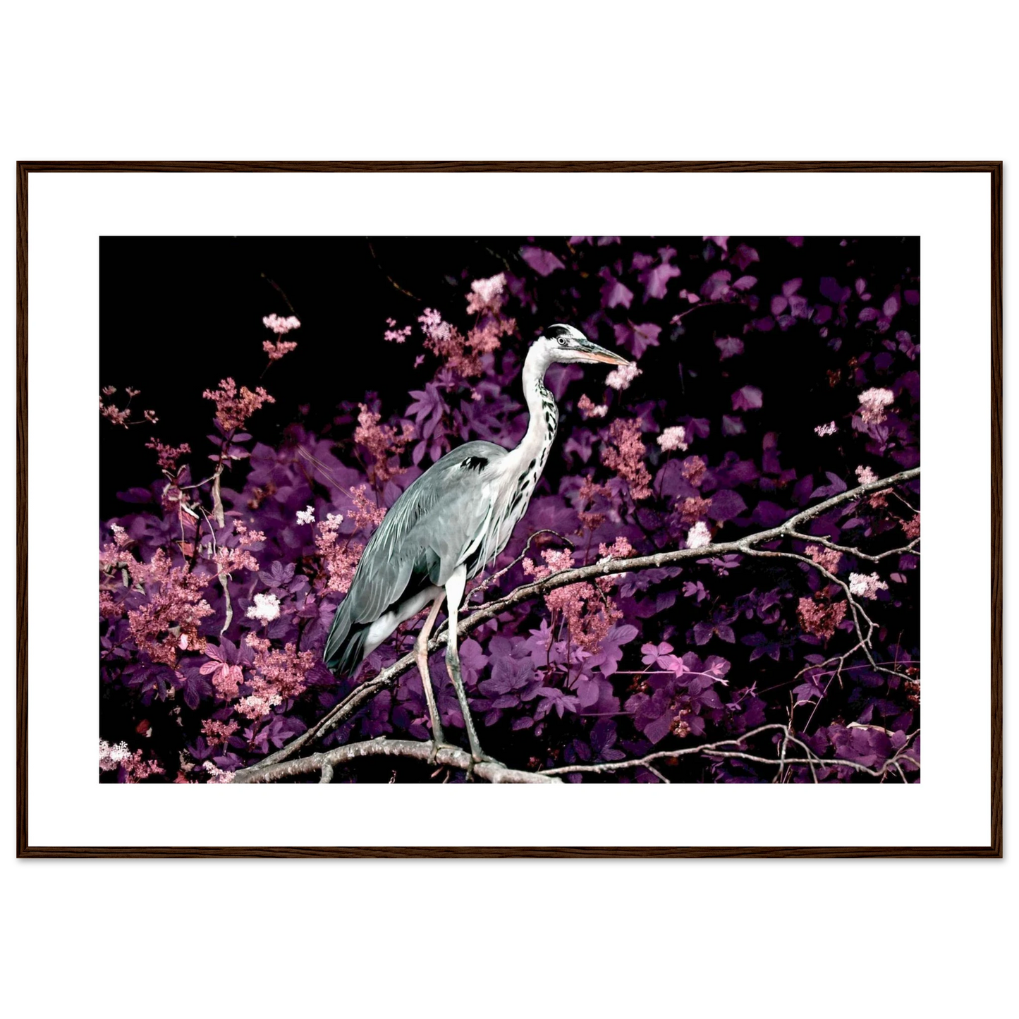 0f1c951f-e567-41a8-95d5-5a41a32775e4