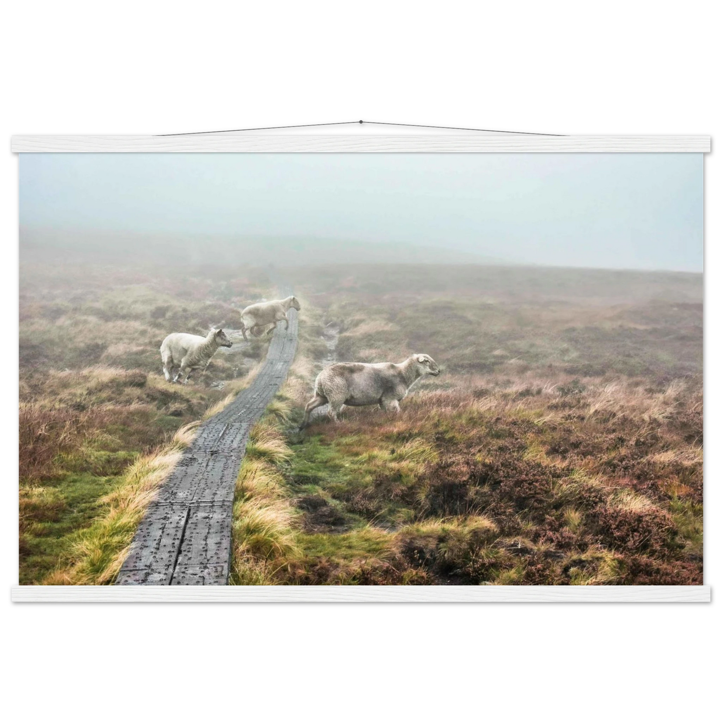 0f39ed58-9904-4ae8-ab10-cb81a5f1956c