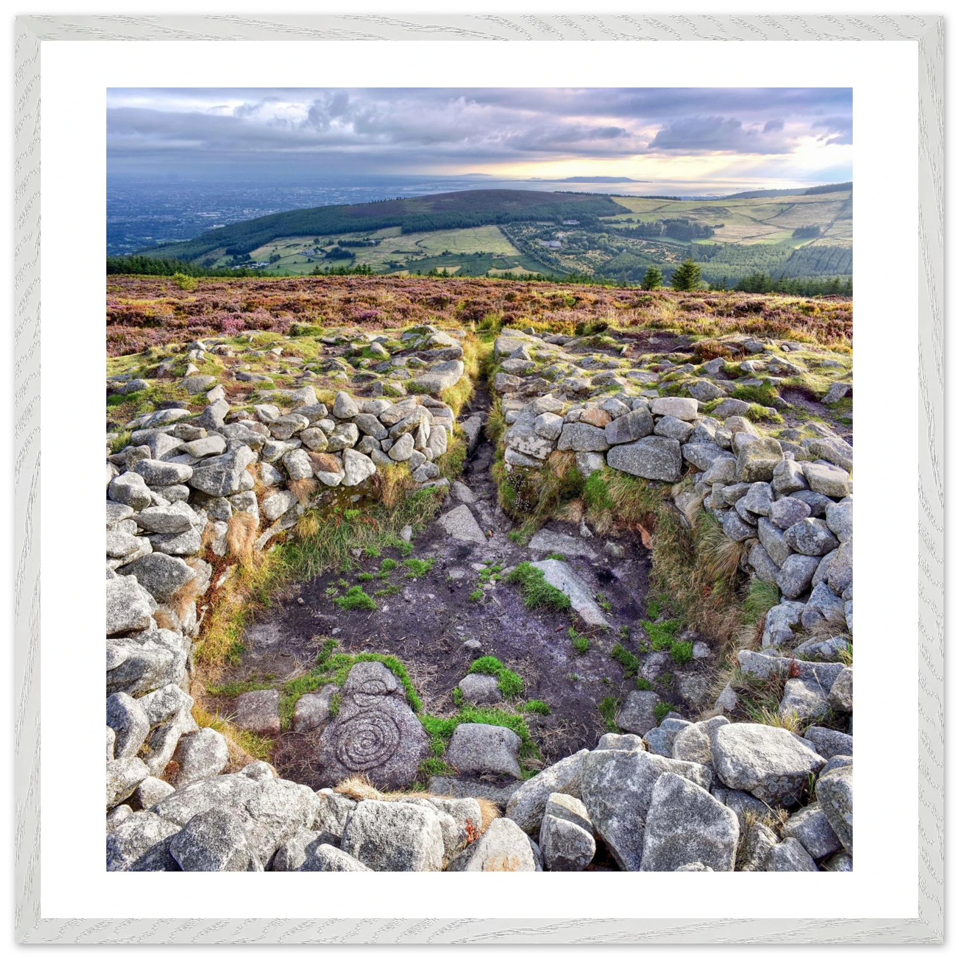 0f45262c-4baf-4191-aed0-70aee04b6572