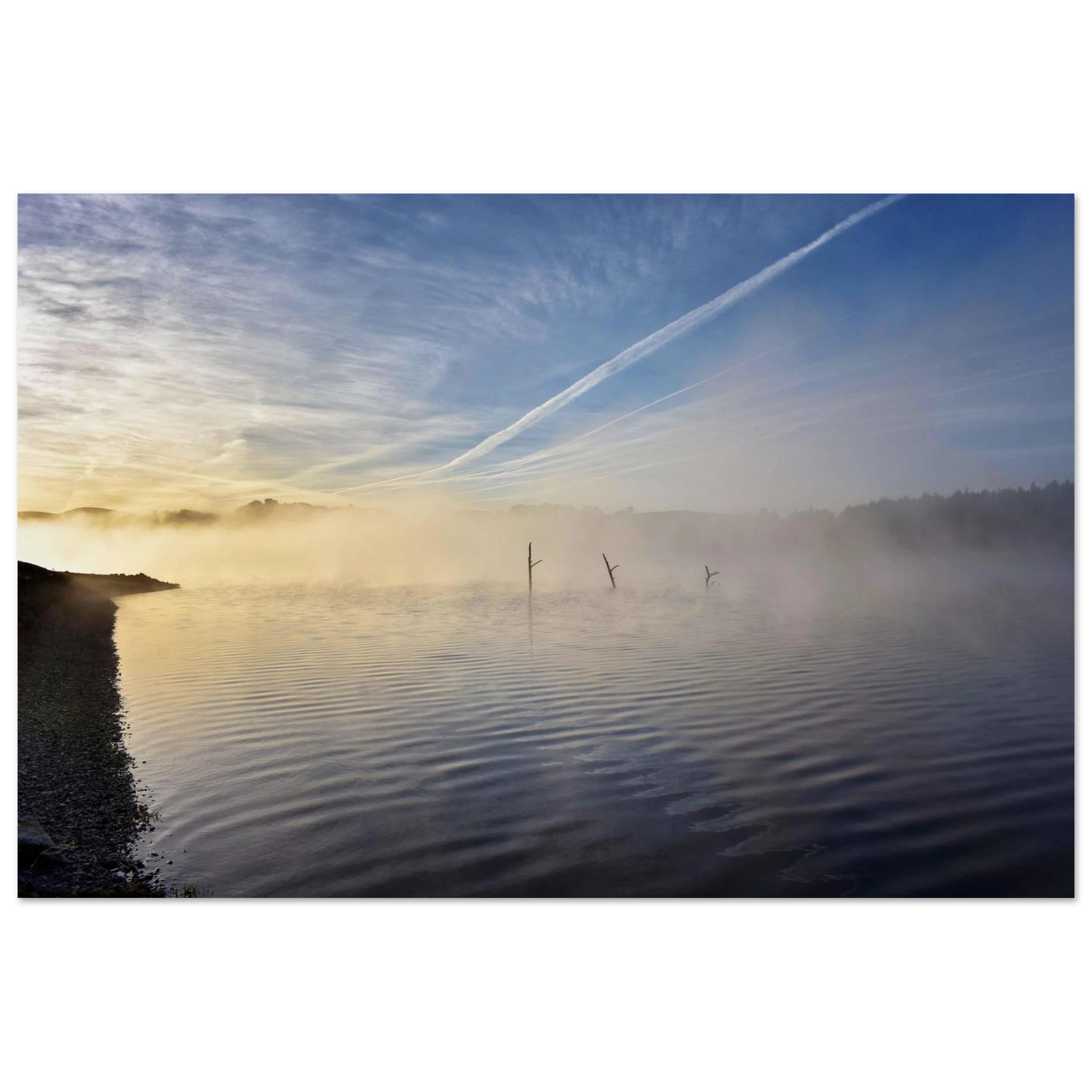 0f79e6ef-c864-41d9-b2e4-55f9dd135308