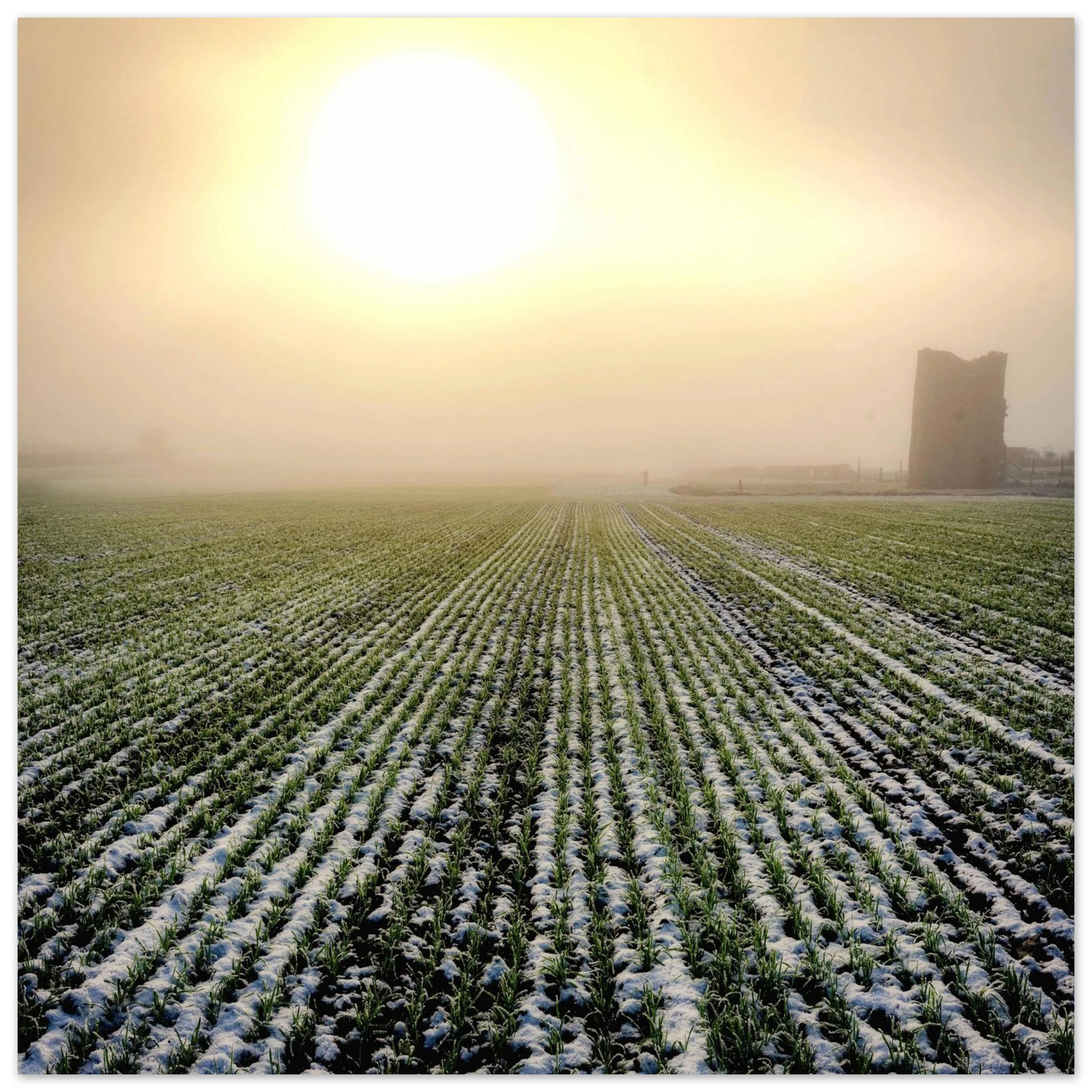 0f845b28-3ccb-4bd1-b1f1-6178b53250c3