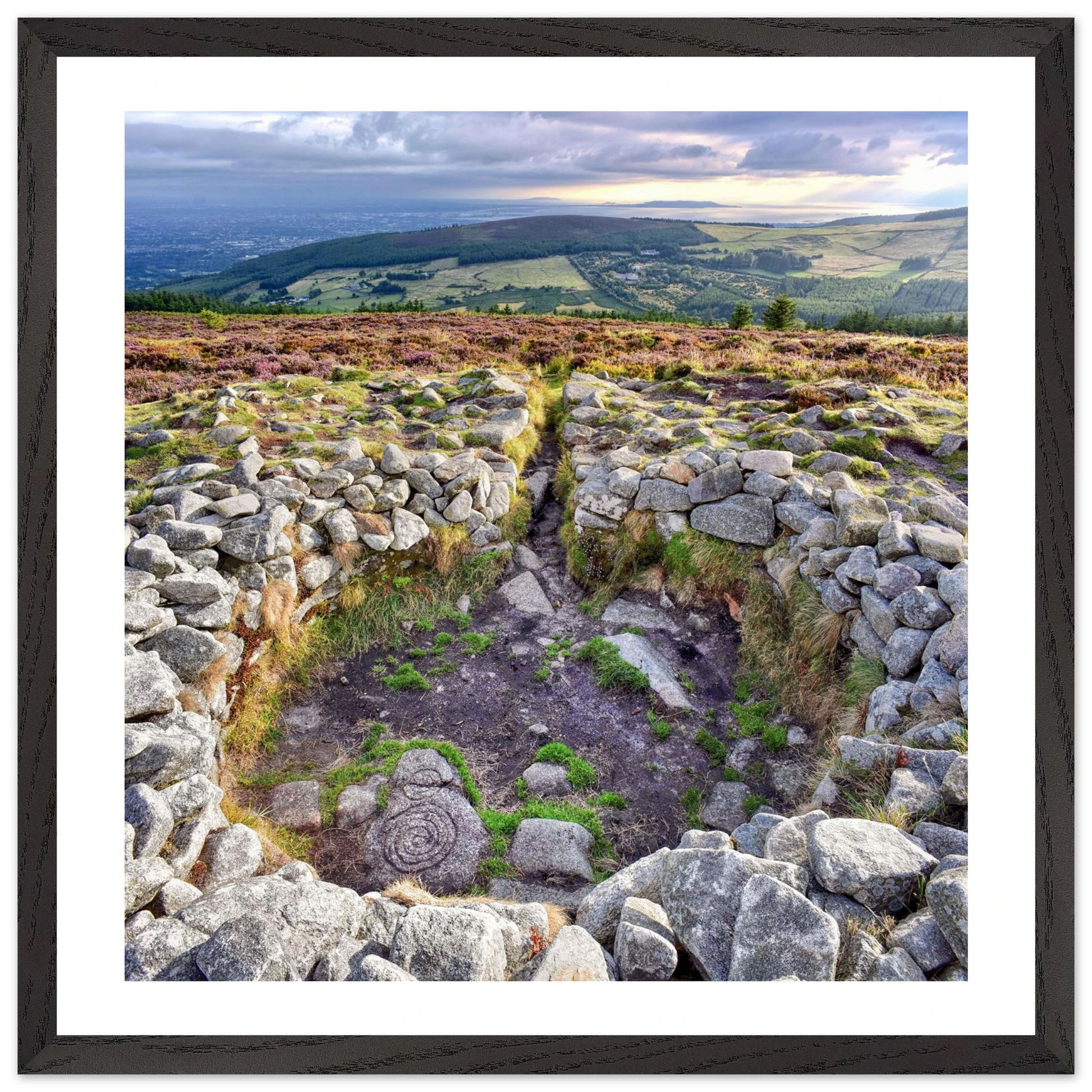 0f9732a6-d203-4d59-8b13-f6fb82f41a7d