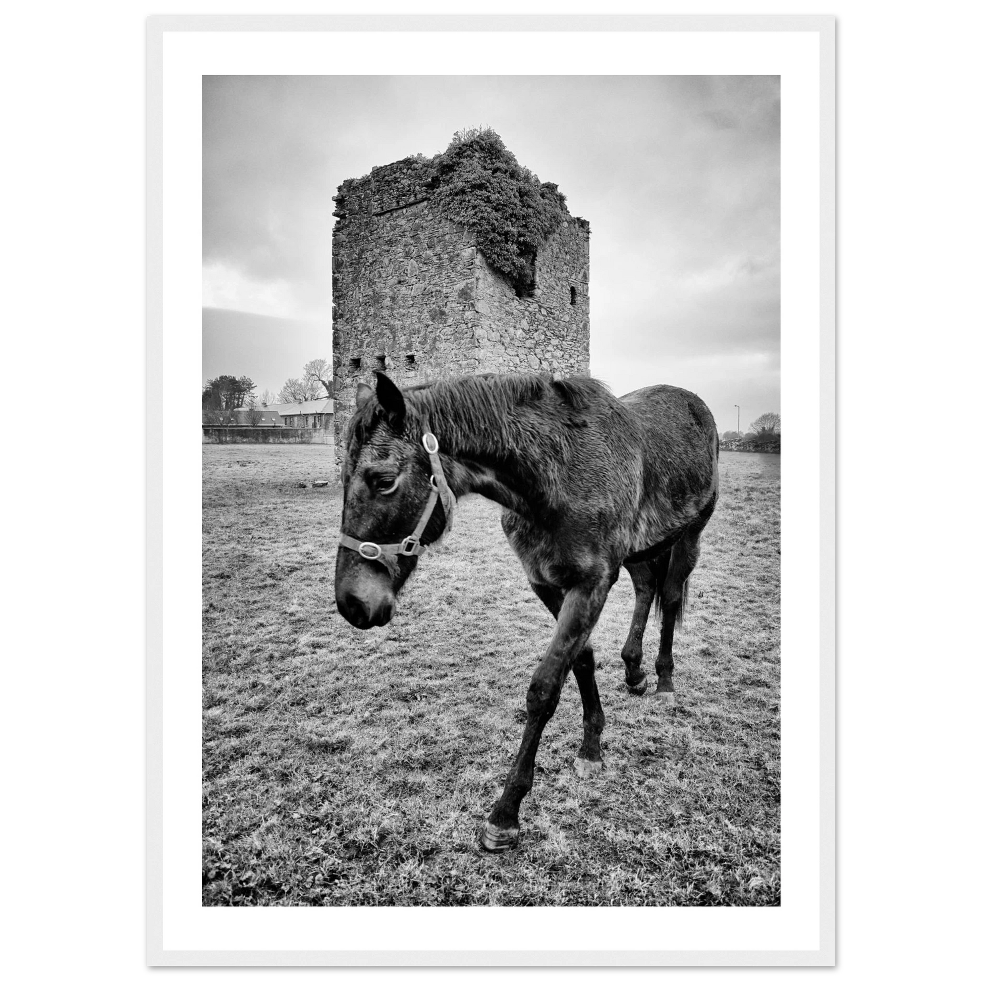 0fc9e3e7-d3bc-4a9f-b994-d7fbc46e9756