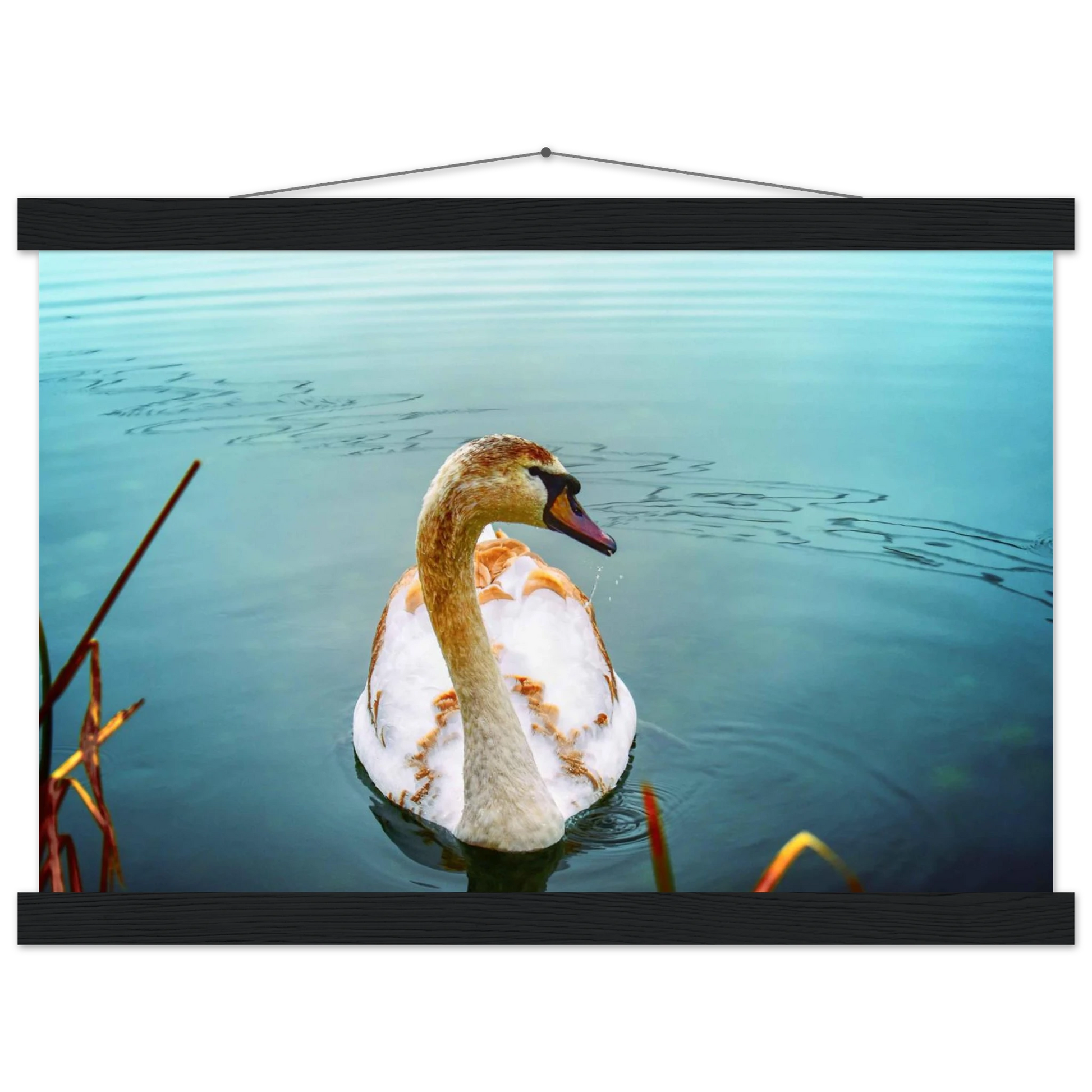 101b2163-193d-4500-95c6-96b4424d8973