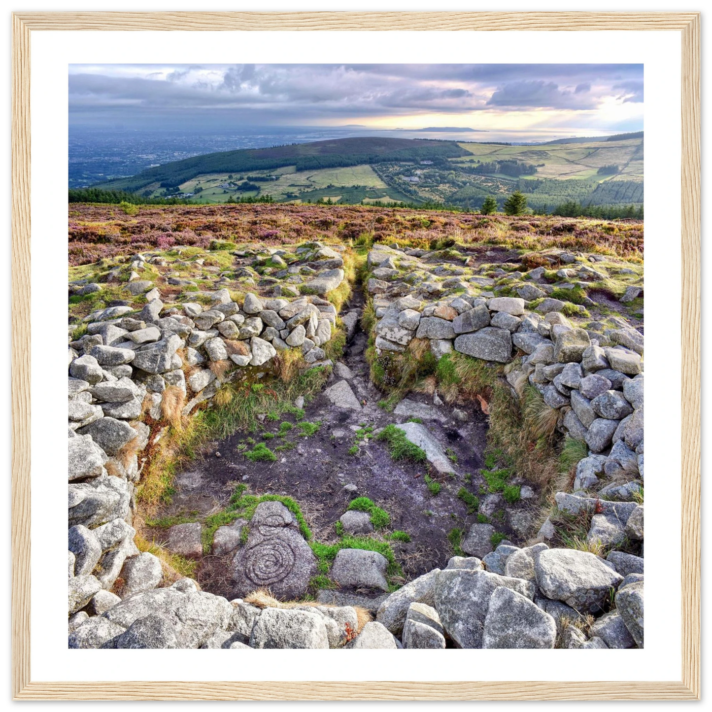 1061b1ad-9751-4ddb-8b88-fa4cf1ccc7e4