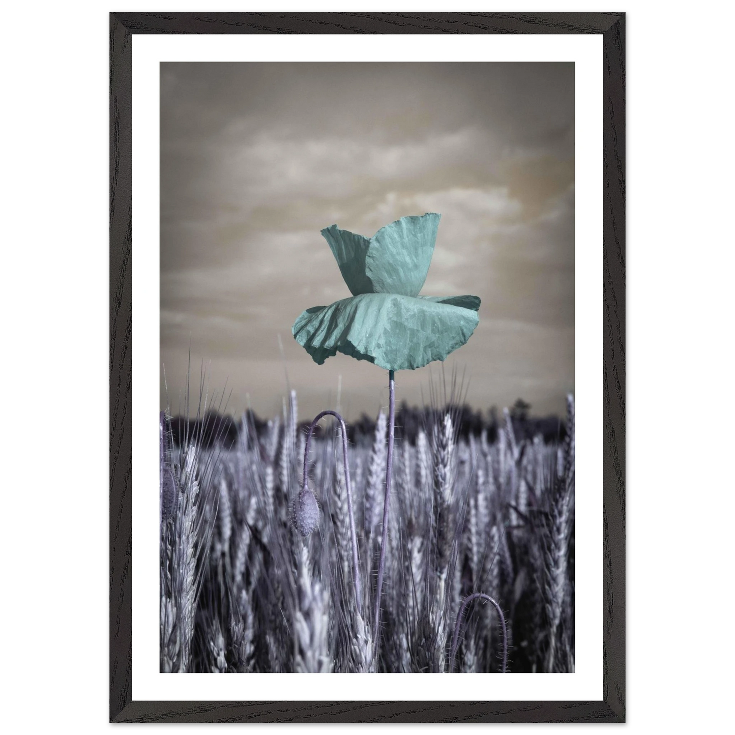 10891ab3-9644-4756-81bd-9bbcf883d22e