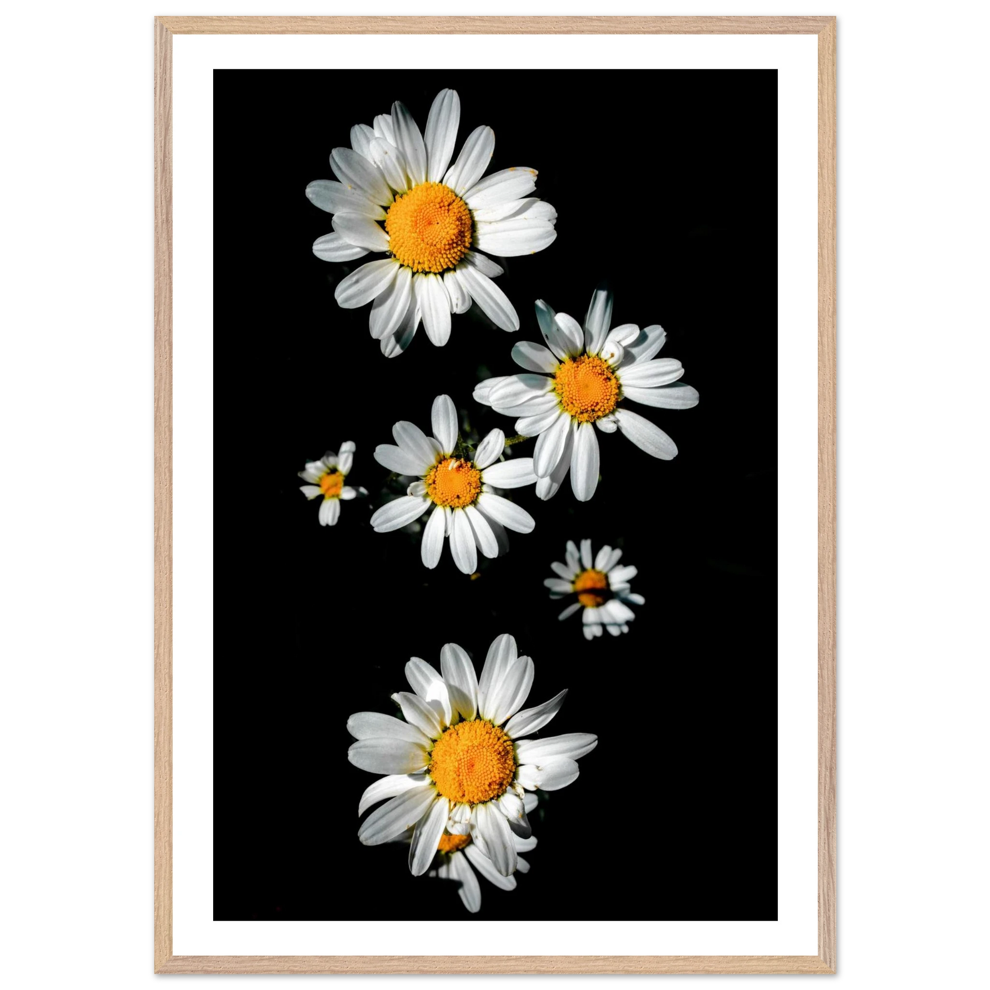 109fe7dc-8cfa-4591-9947-51db925bb4b1