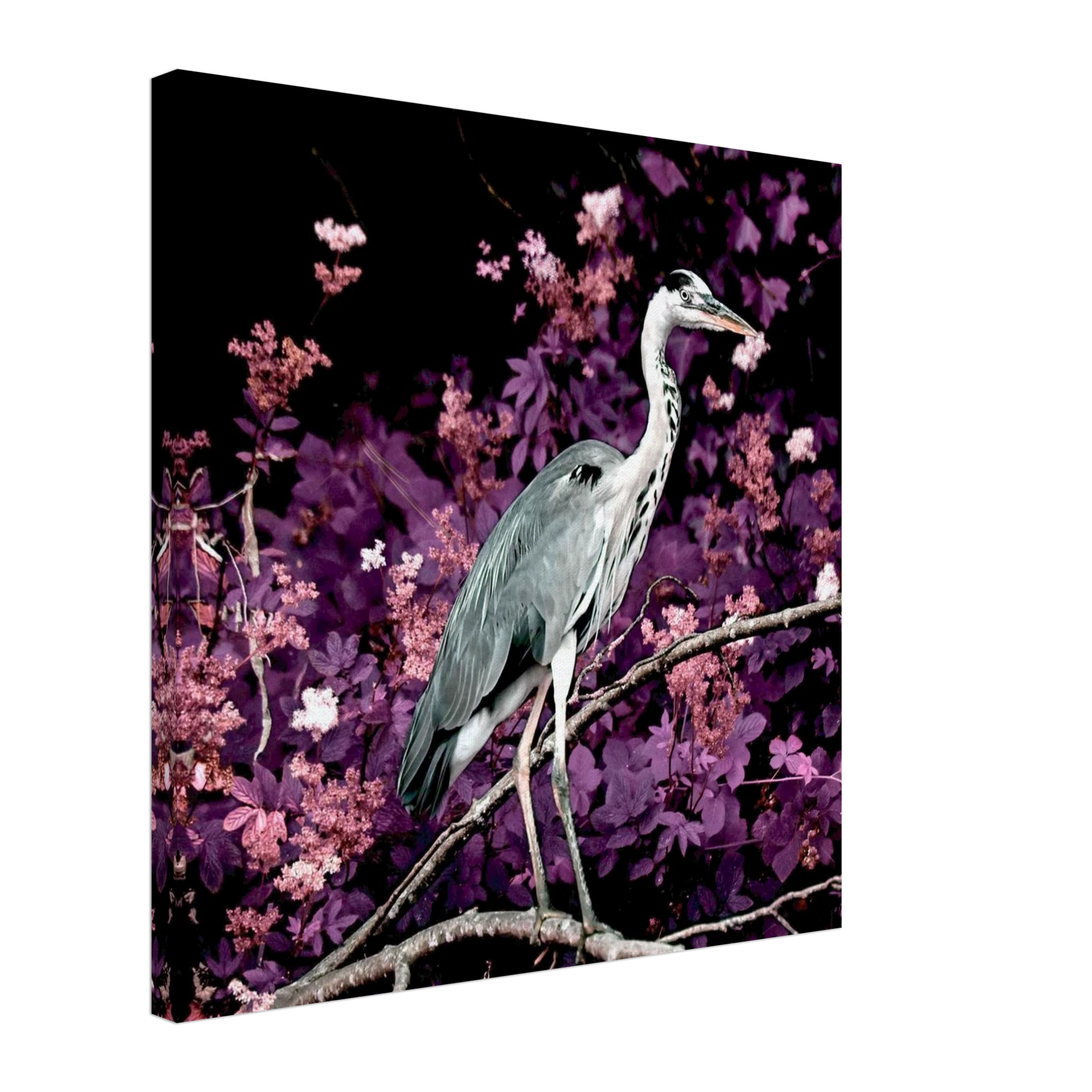 1120a877-c3c0-4ad5-9a91-08fcca002b47