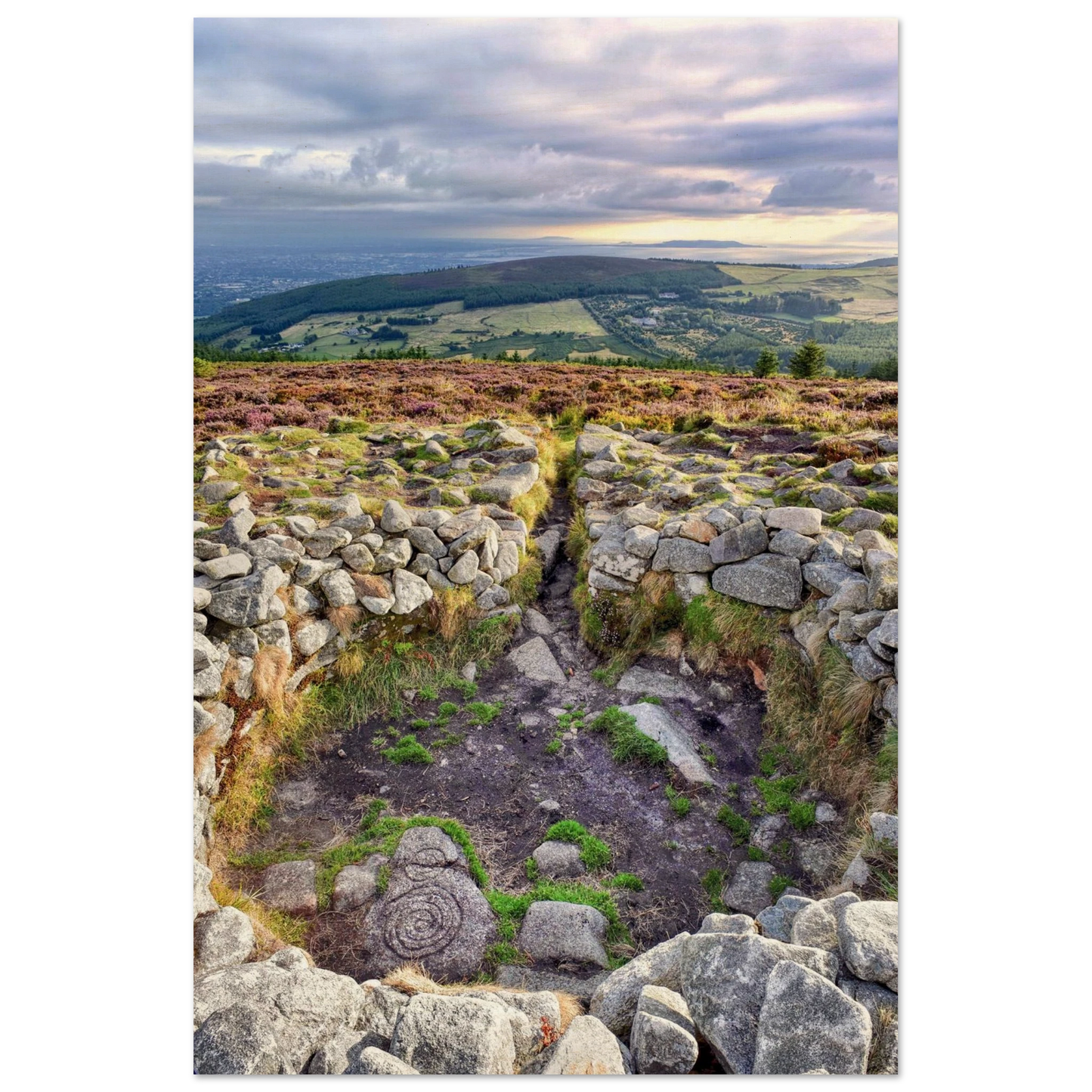 117c320d-ab50-4443-978a-b8699166f5b7