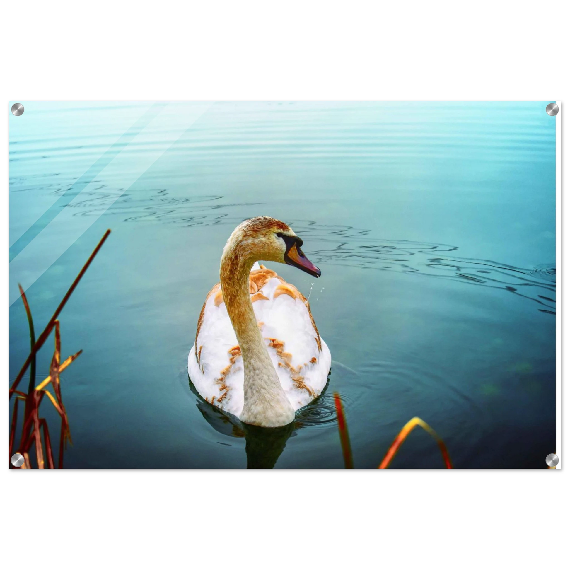 117d813d-2e97-4940-a716-0dd2cbecb78c