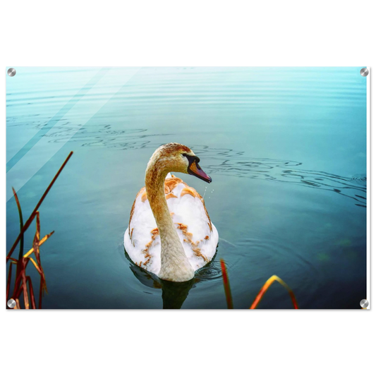 117d813d-2e97-4940-a716-0dd2cbecb78c