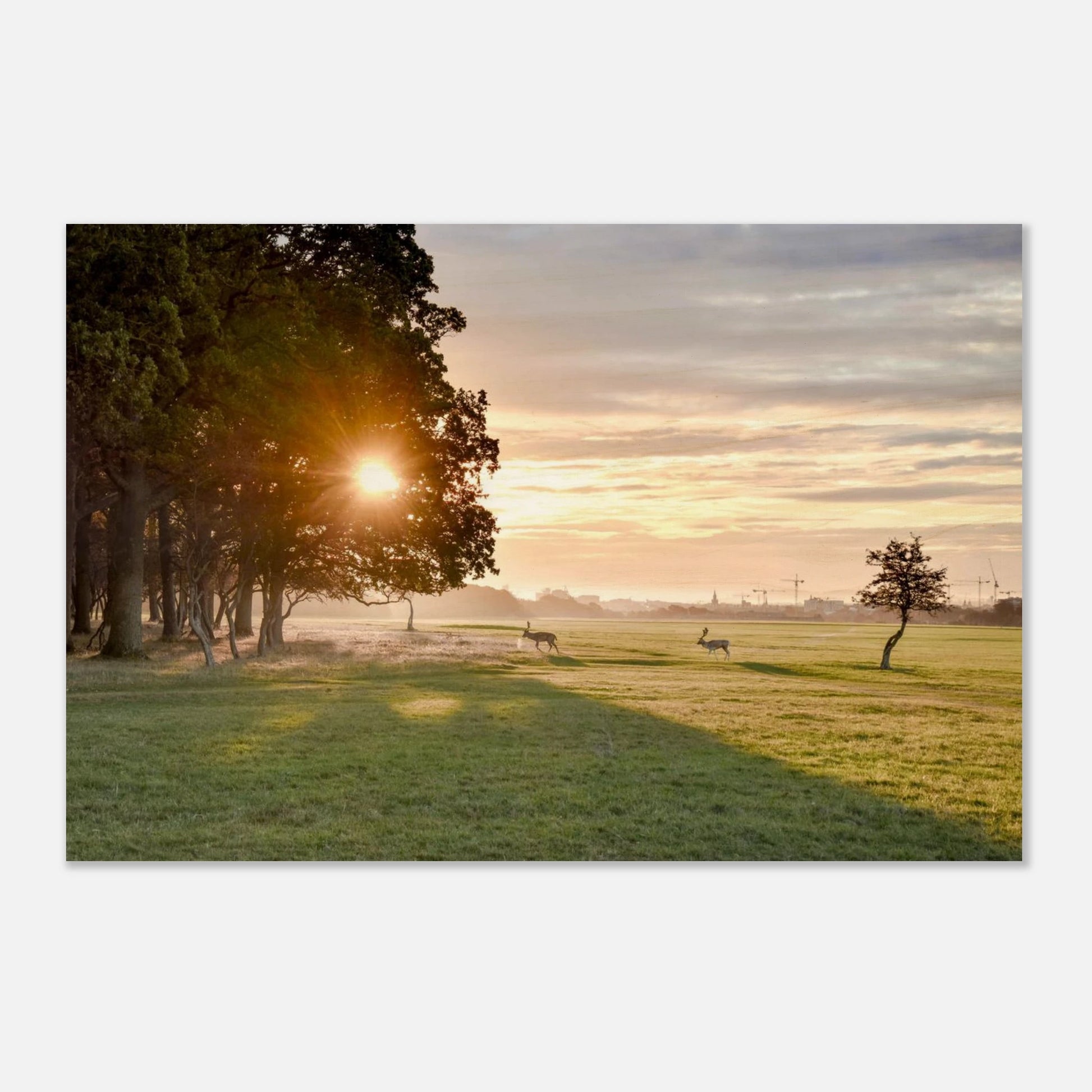 1188d49f-6f83-4316-8f95-68627efad848