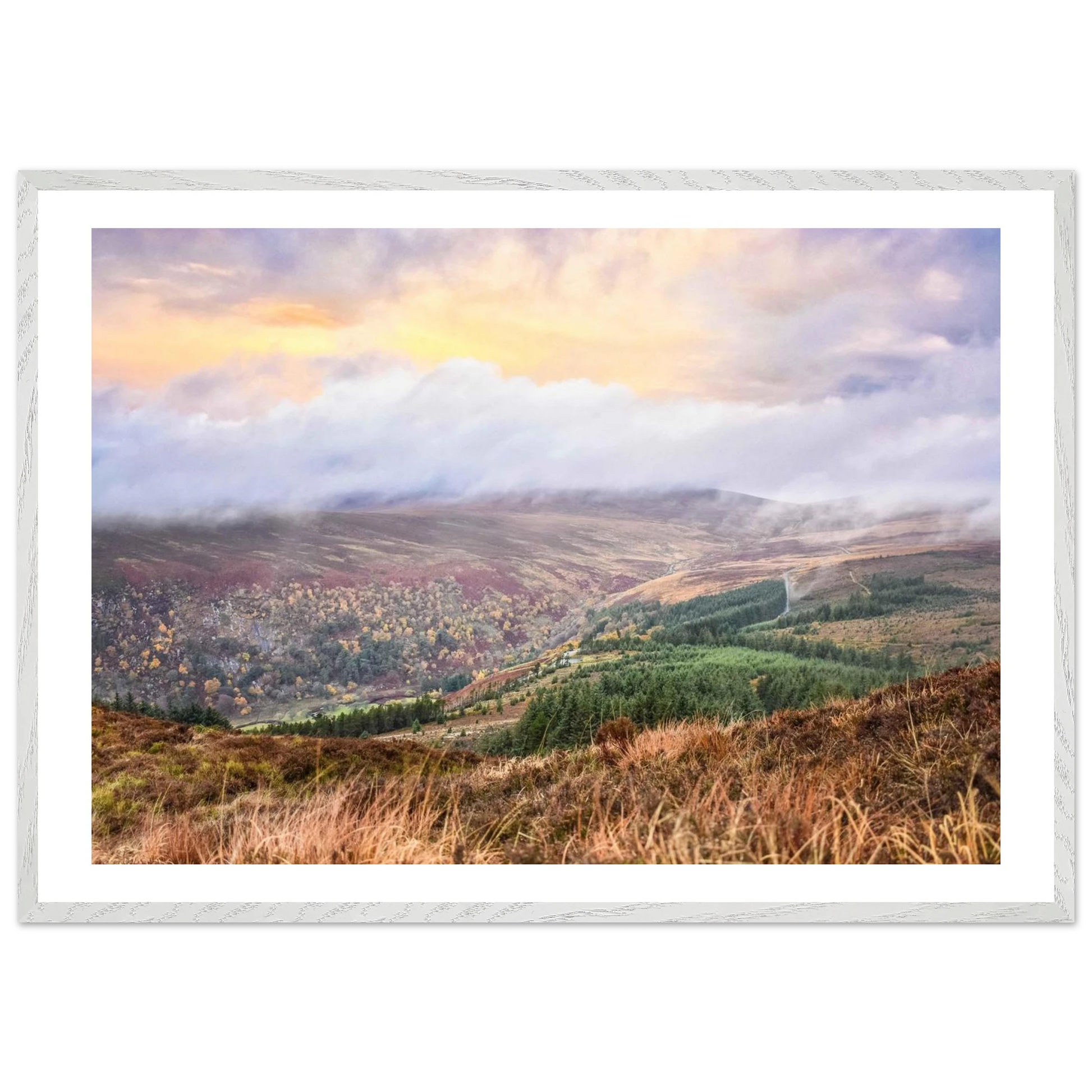 11c7b7f6-4c38-43e1-a389-7c6eee0cdc0c