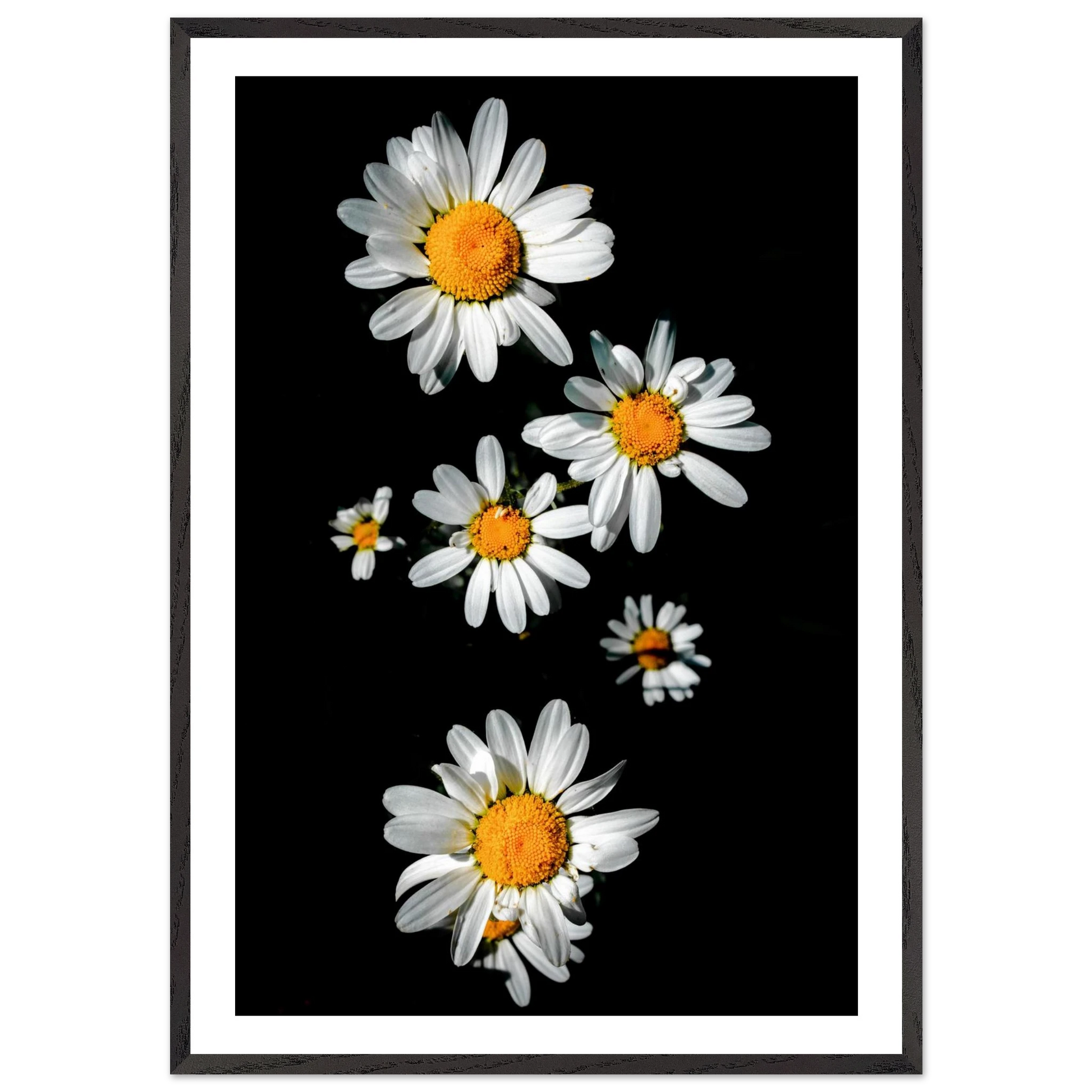 123f6224-8a62-4f7d-9750-b889a7498e3e