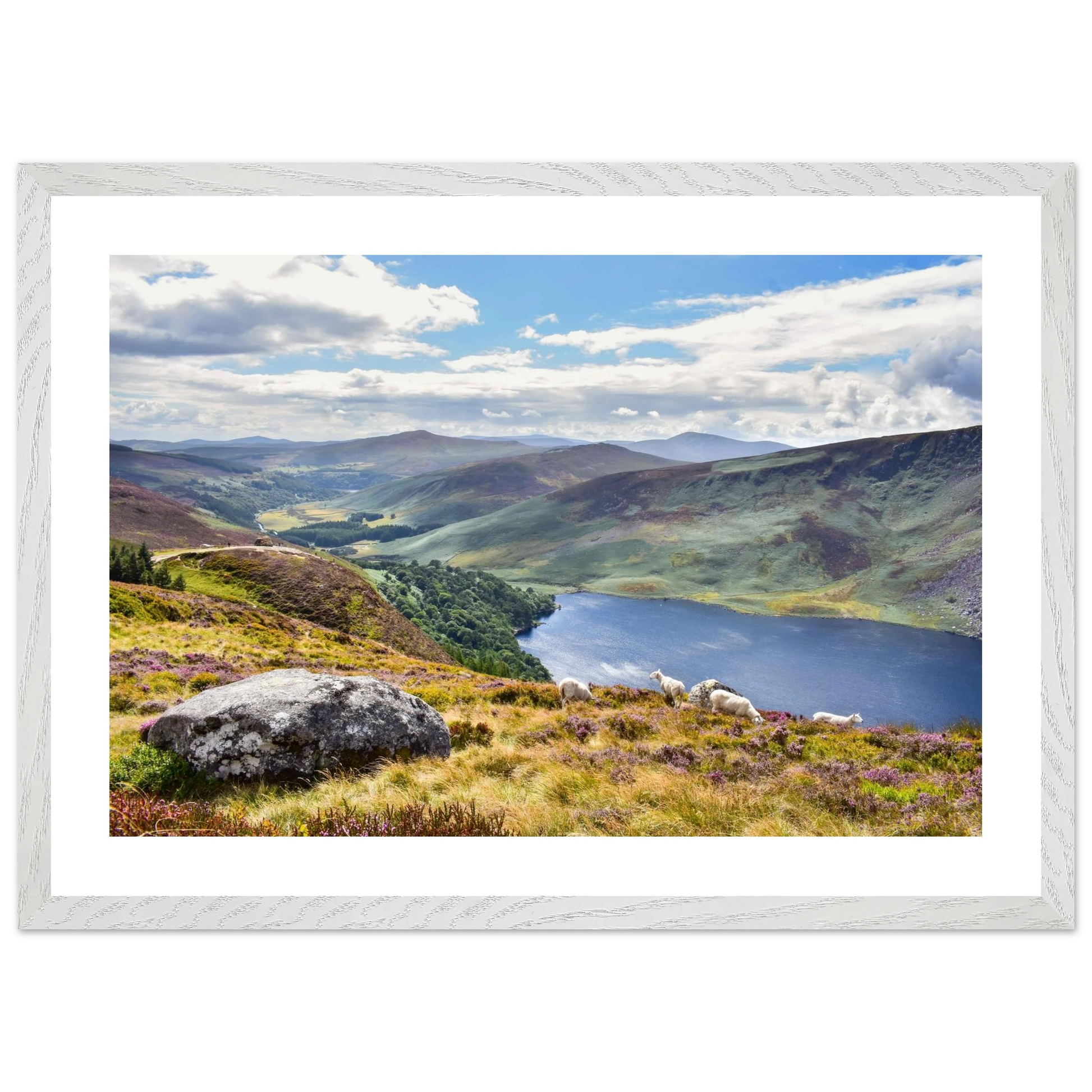 1270c6c7-97e3-4f5d-9523-76866fb4f997