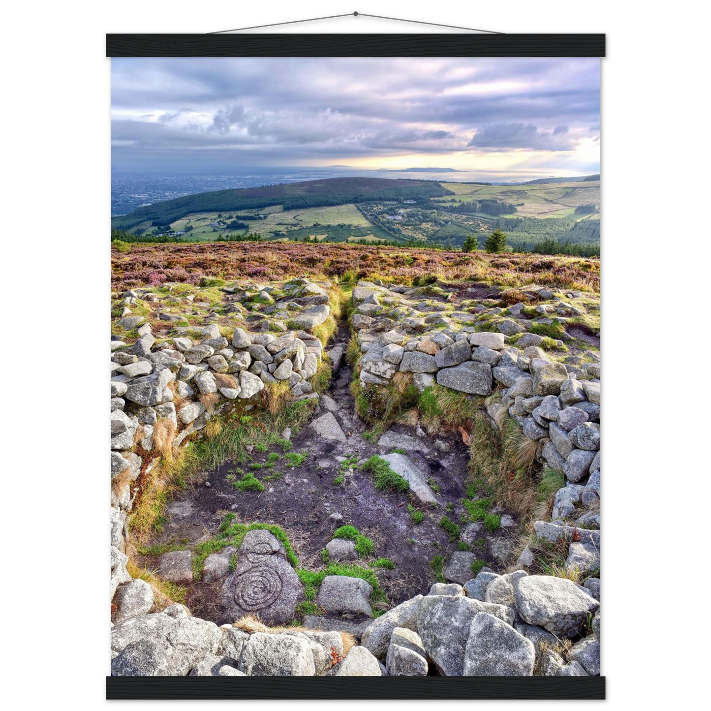 129e38ad-2df4-4088-b802-3a1d9bcd97c4