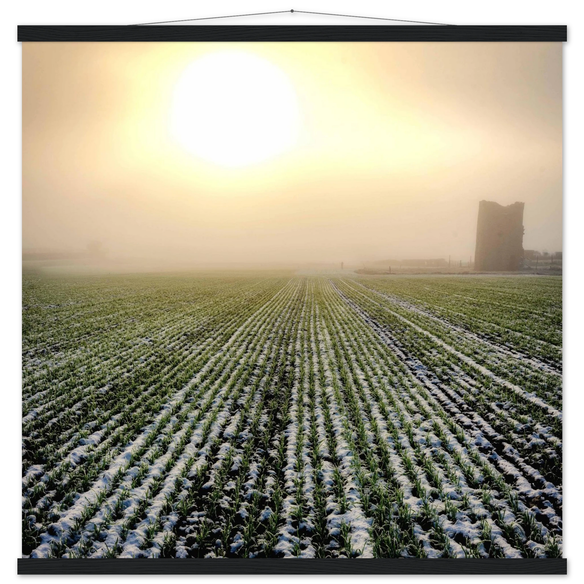 12c2769b-60ad-49dd-9654-e46878974d36