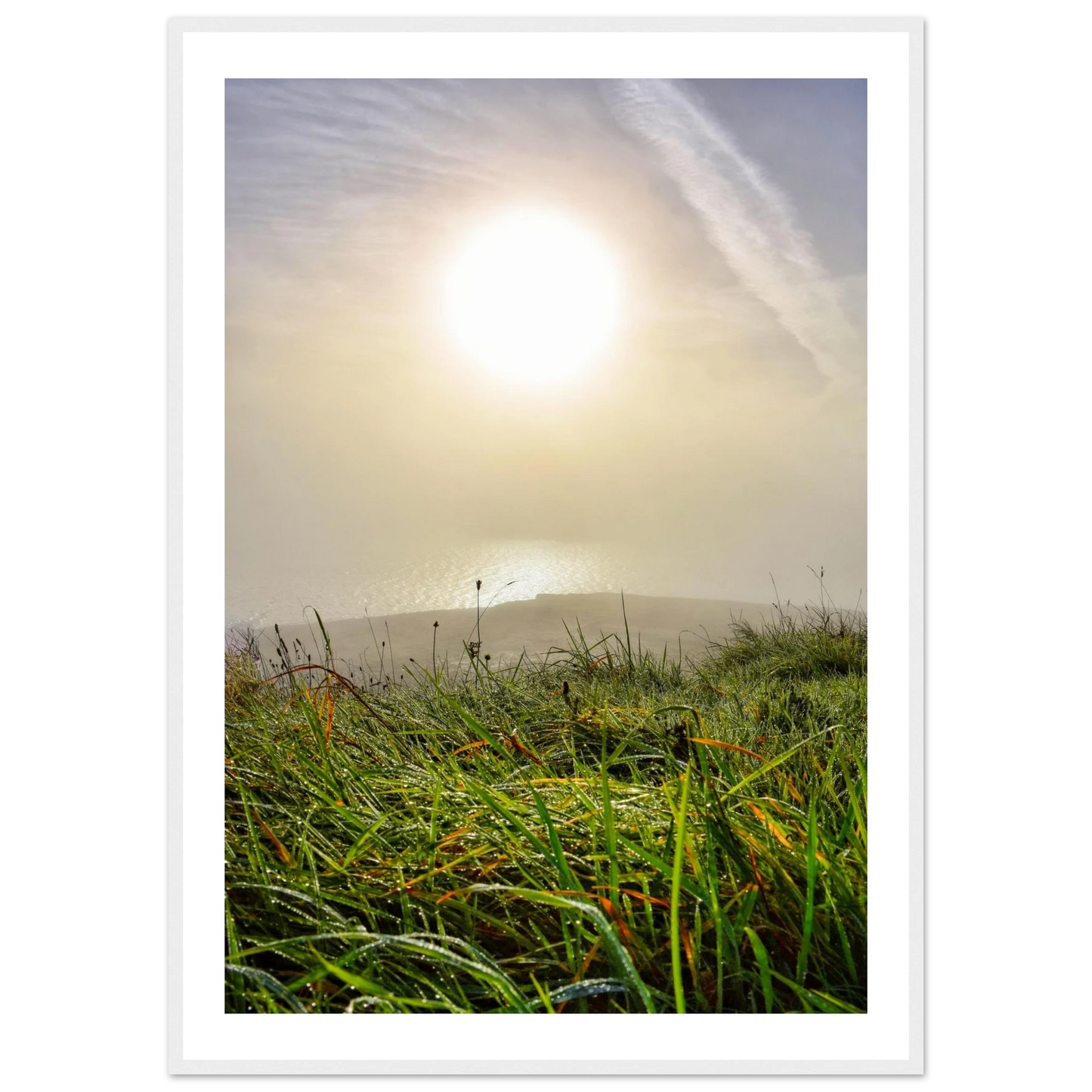 12c58292-8fb7-42d9-bd03-7e07b54794cd