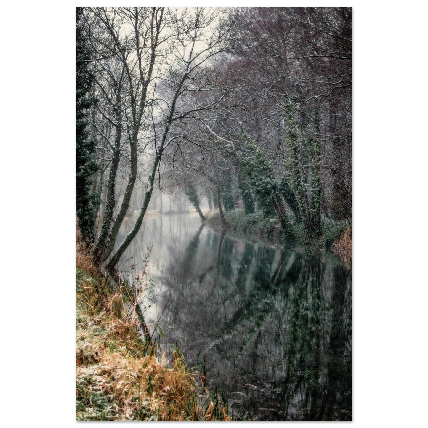 133096af-7f55-41f7-a9c1-d2884c4da609