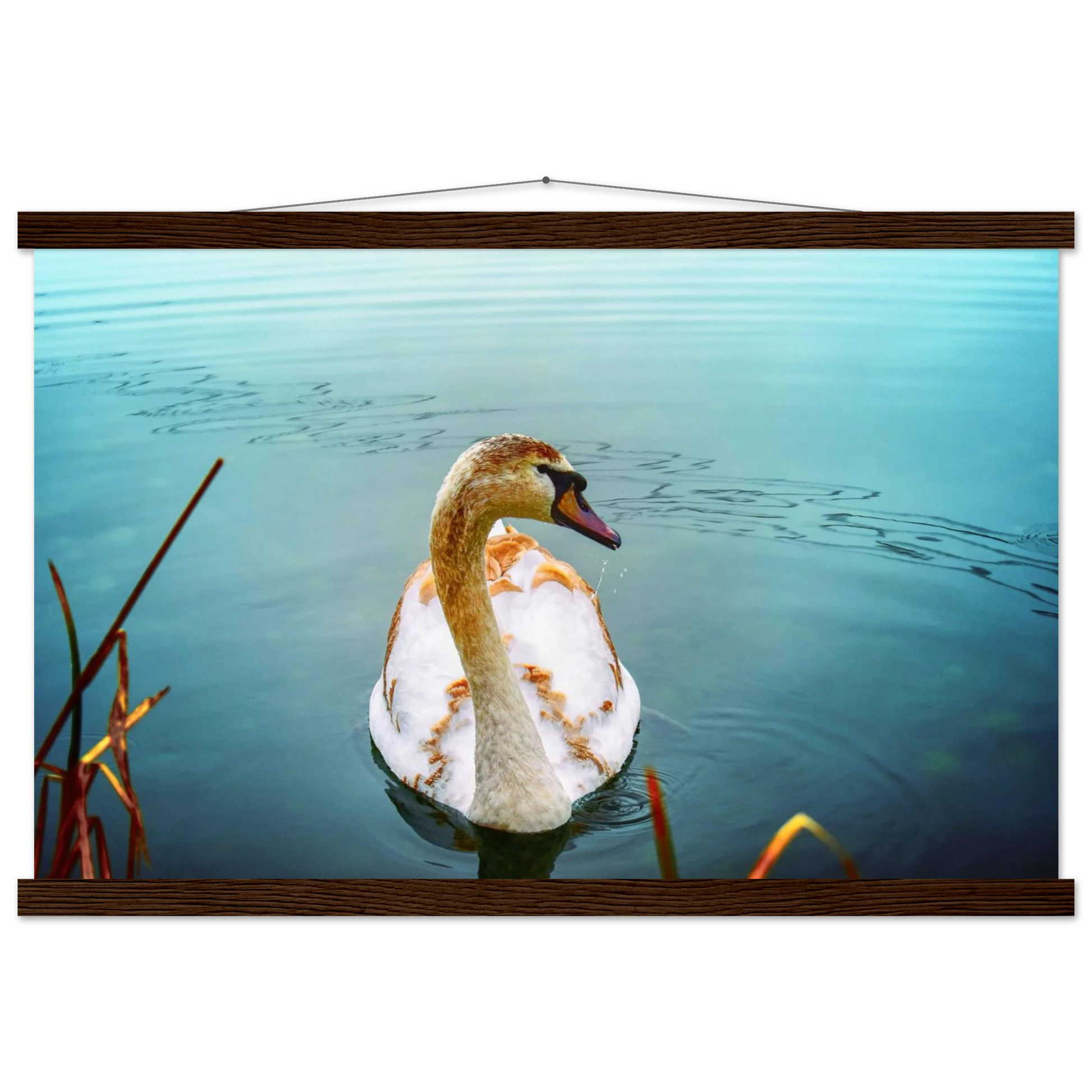 13430a19-e473-4efc-8a67-5a489187c026