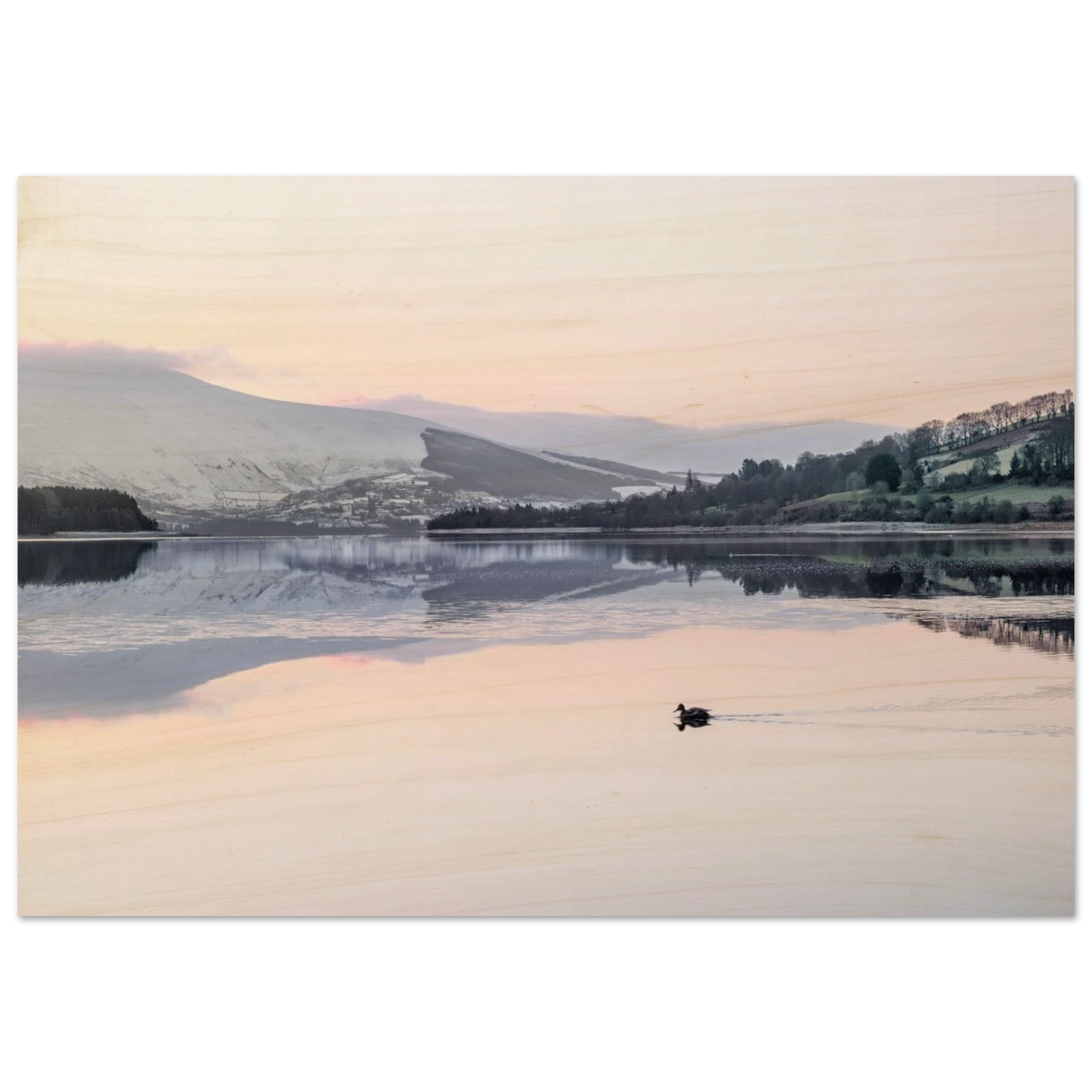 13aed4a6-9b25-4c32-b22d-933c580042df