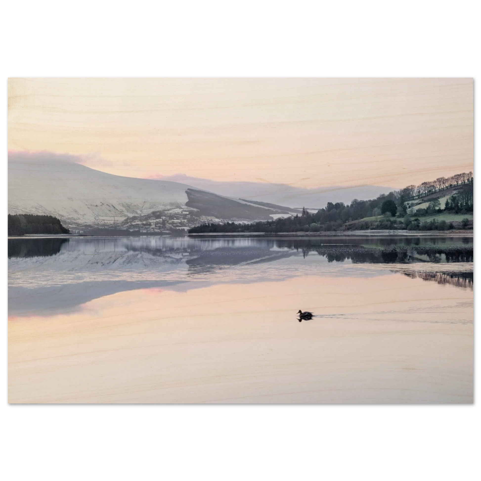 13aed4a6-9b25-4c32-b22d-933c580042df