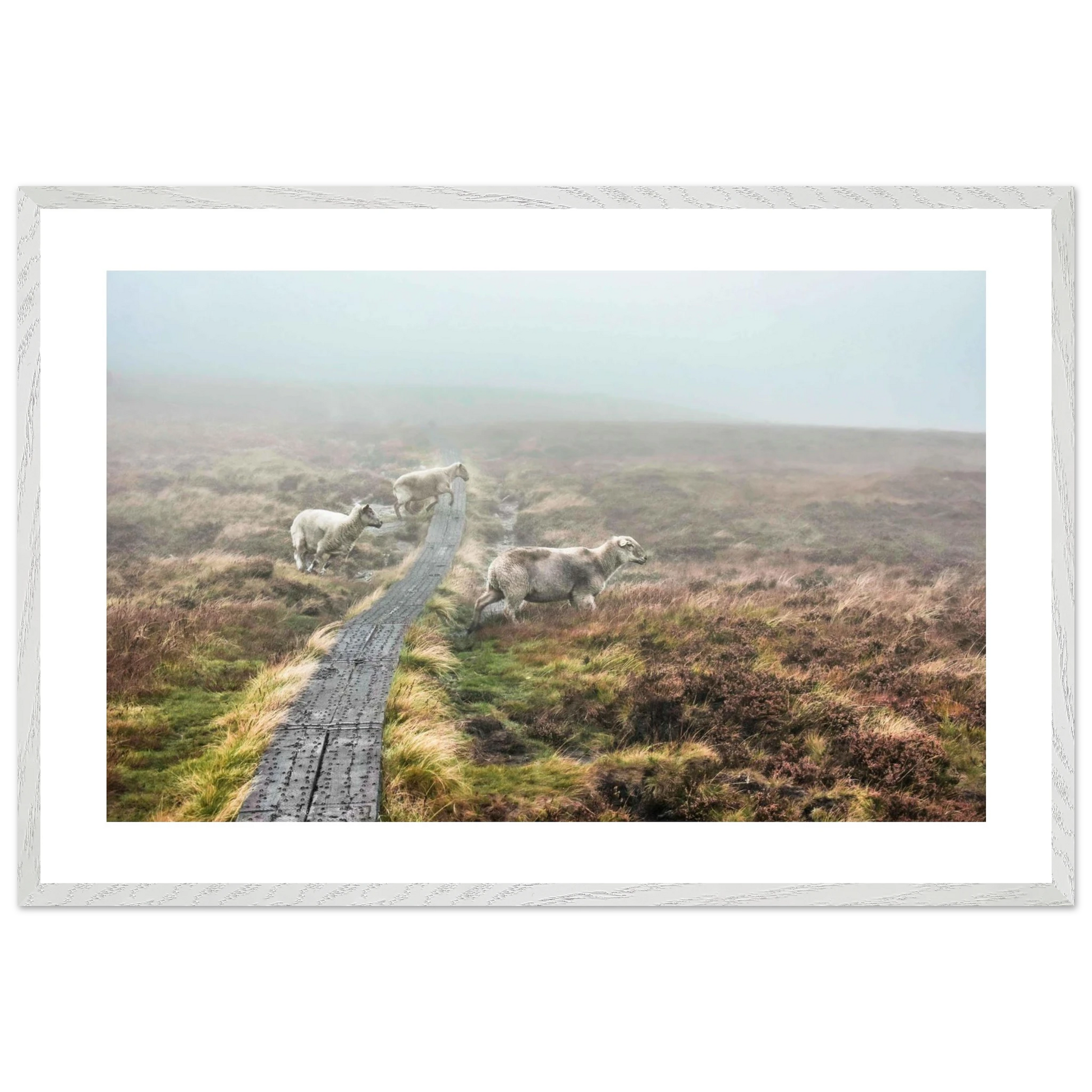 144245b6-01ea-413d-9ba1-03fa2aa0495c