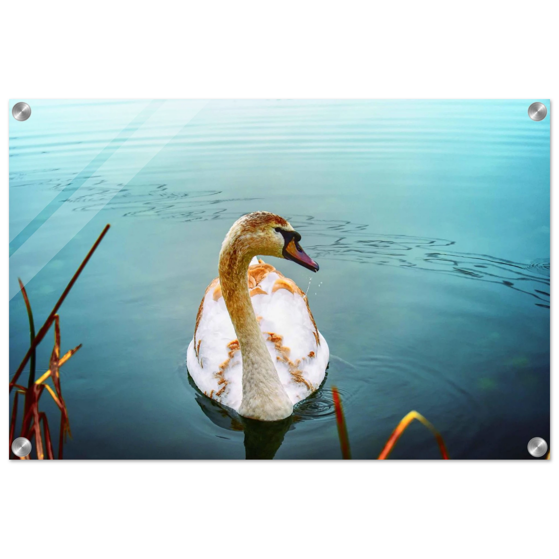 149d92bb-d04e-494f-a1c4-6532cf732f85