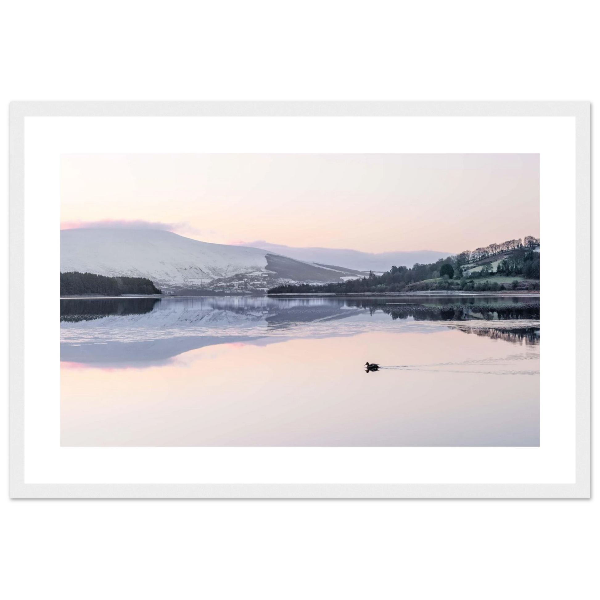 1545e94d-8bc1-4b3c-95c1-e88bea1a6681