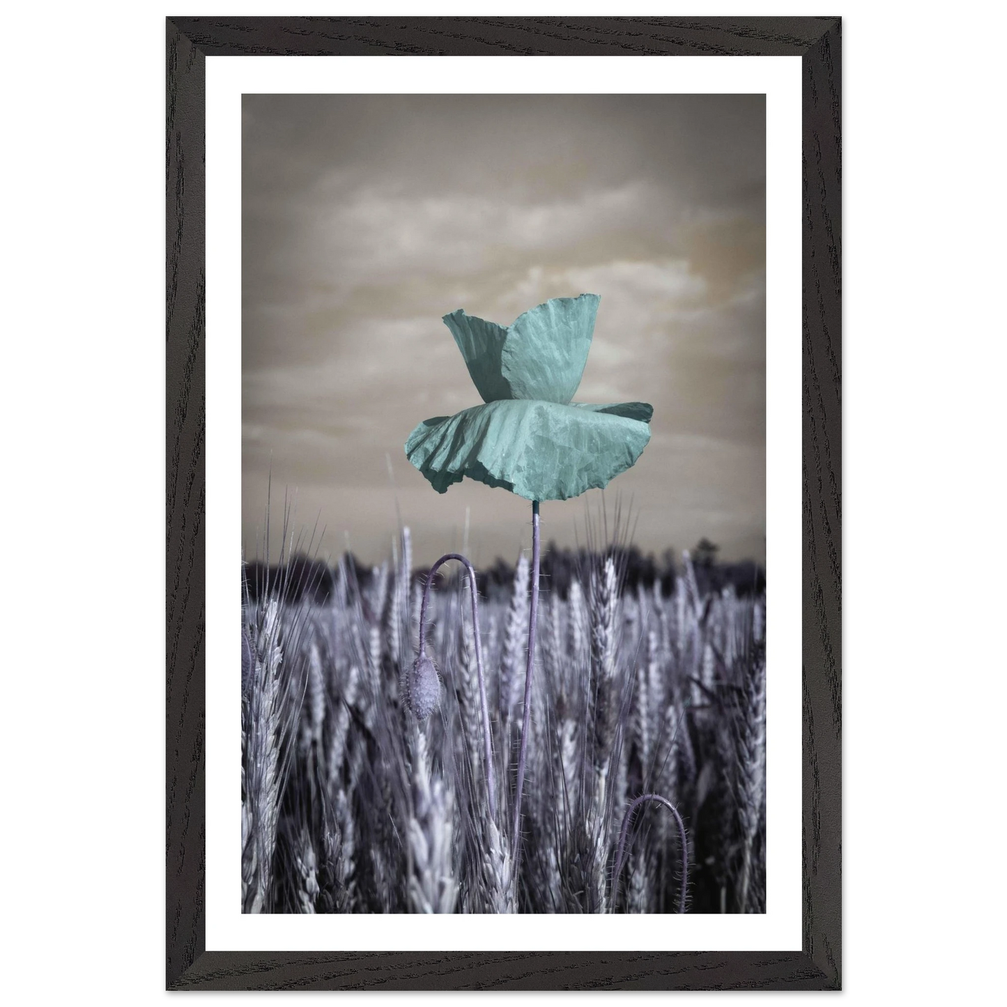 158c4cd5-599f-4bad-a56c-07e6de8d94b7