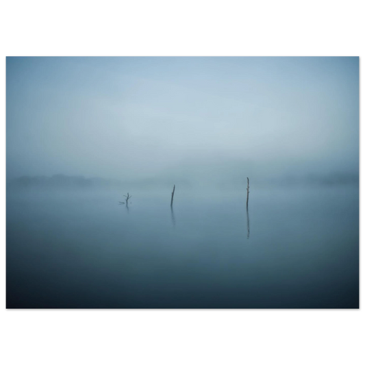 159a69c6-678d-4019-98c3-55f6d5ea308b