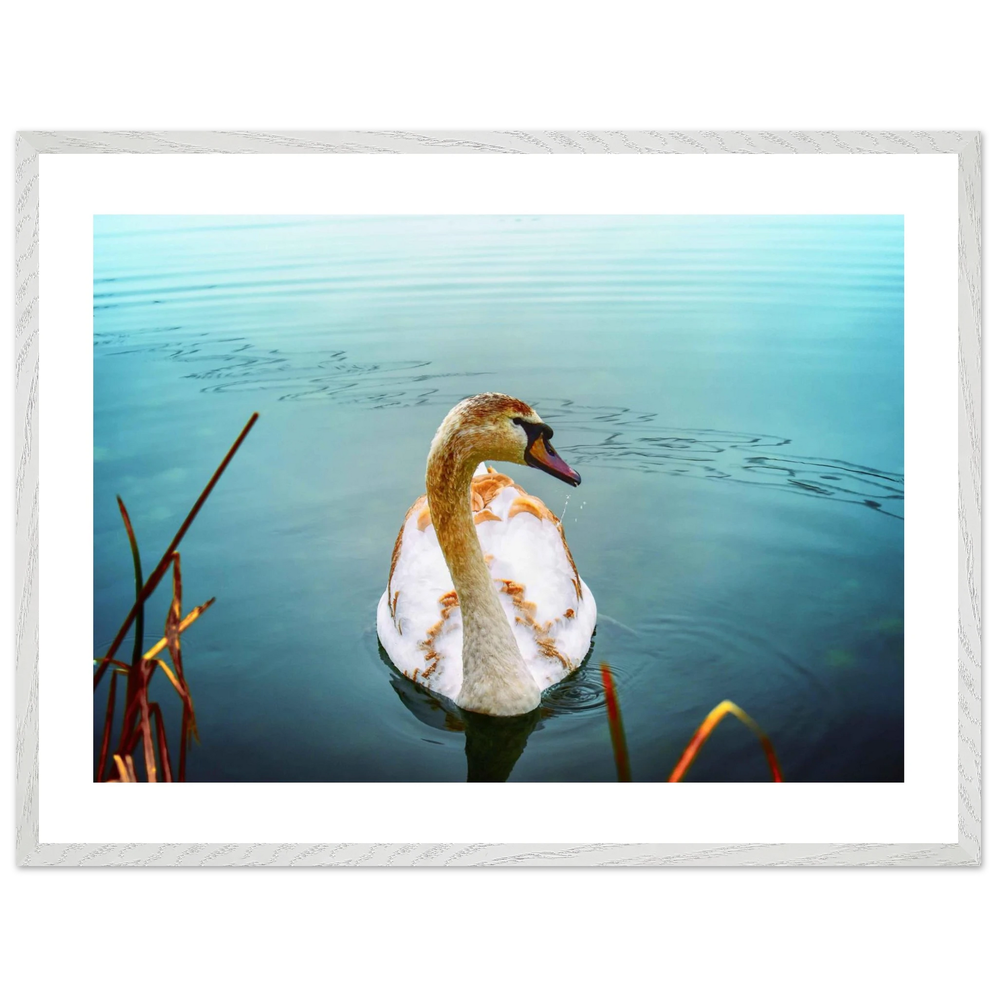 1616b32d-229c-47cc-adc3-52d3dd918a9d