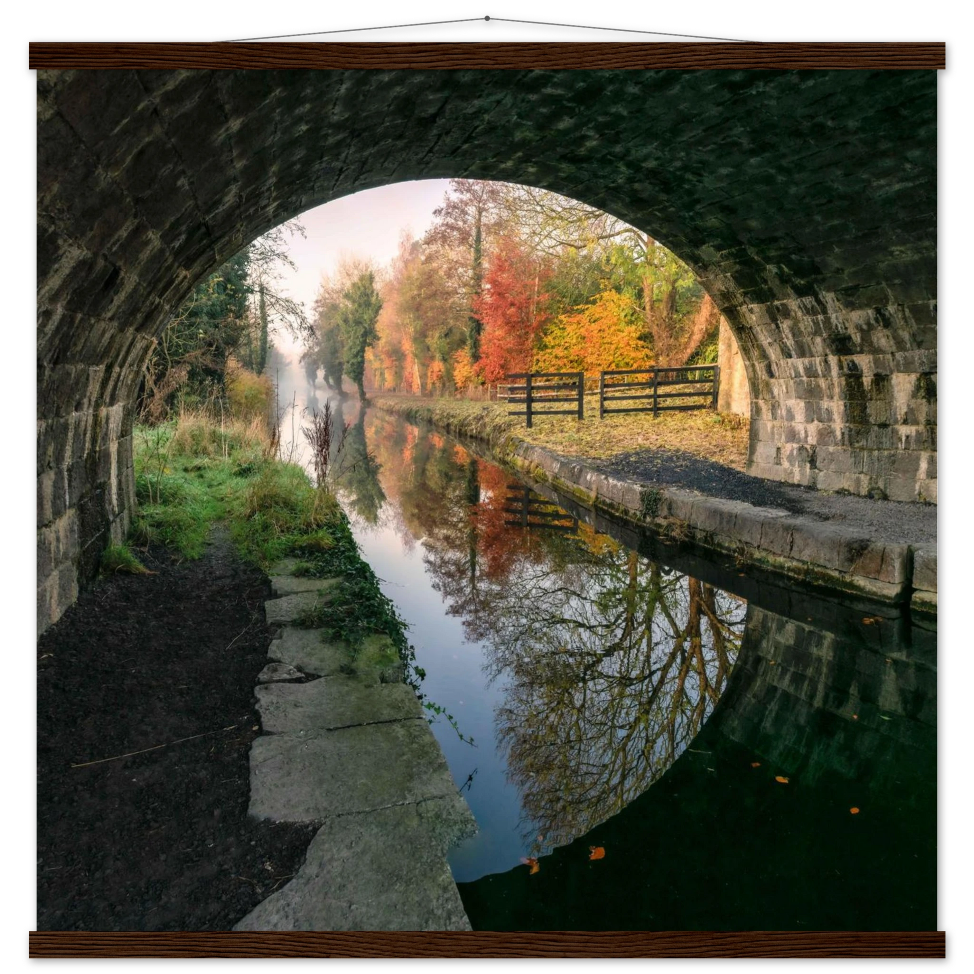 16368047-a9b0-4481-80c0-b9bb88e6faf3