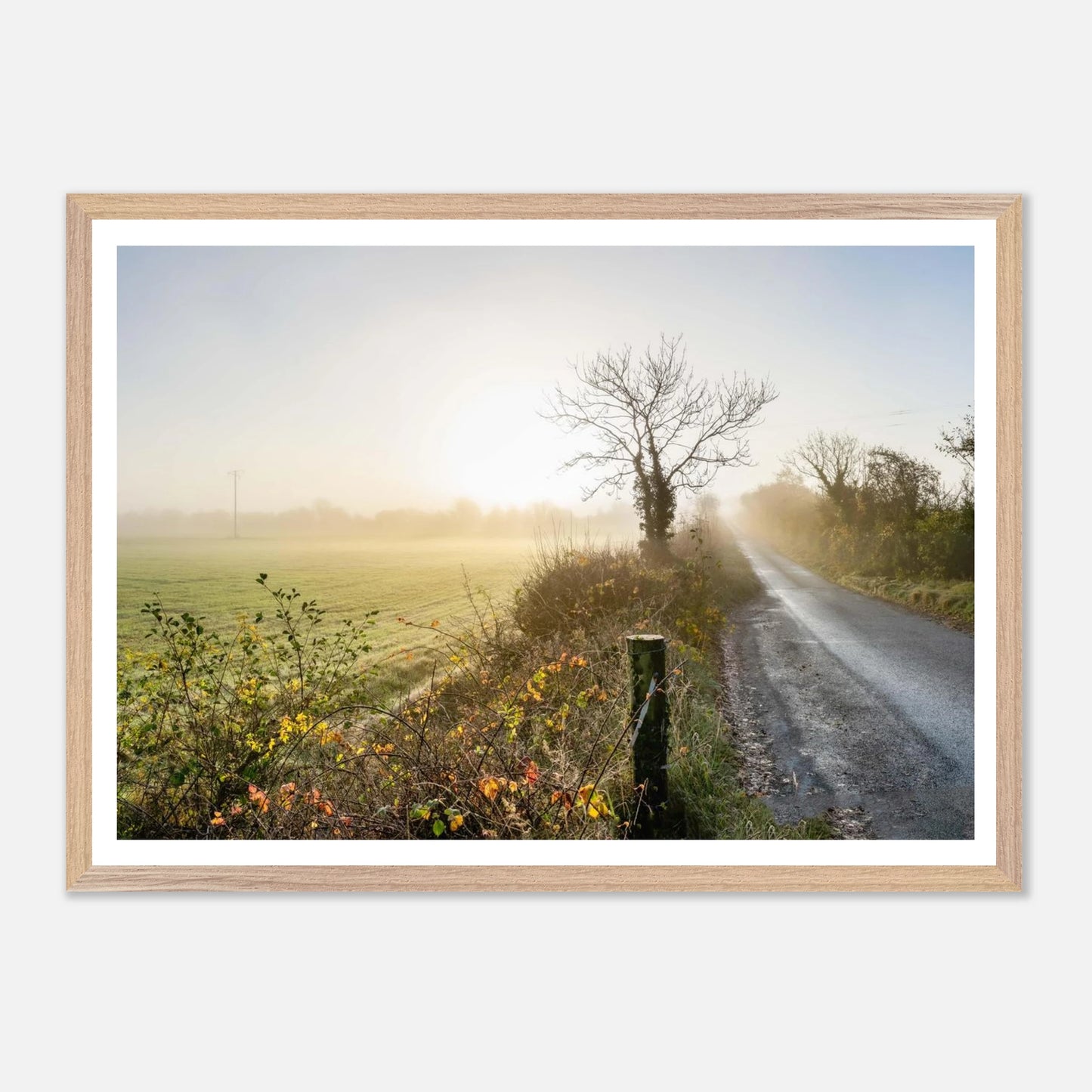 1677e023-8740-4aa3-95e1-2112293c09b4