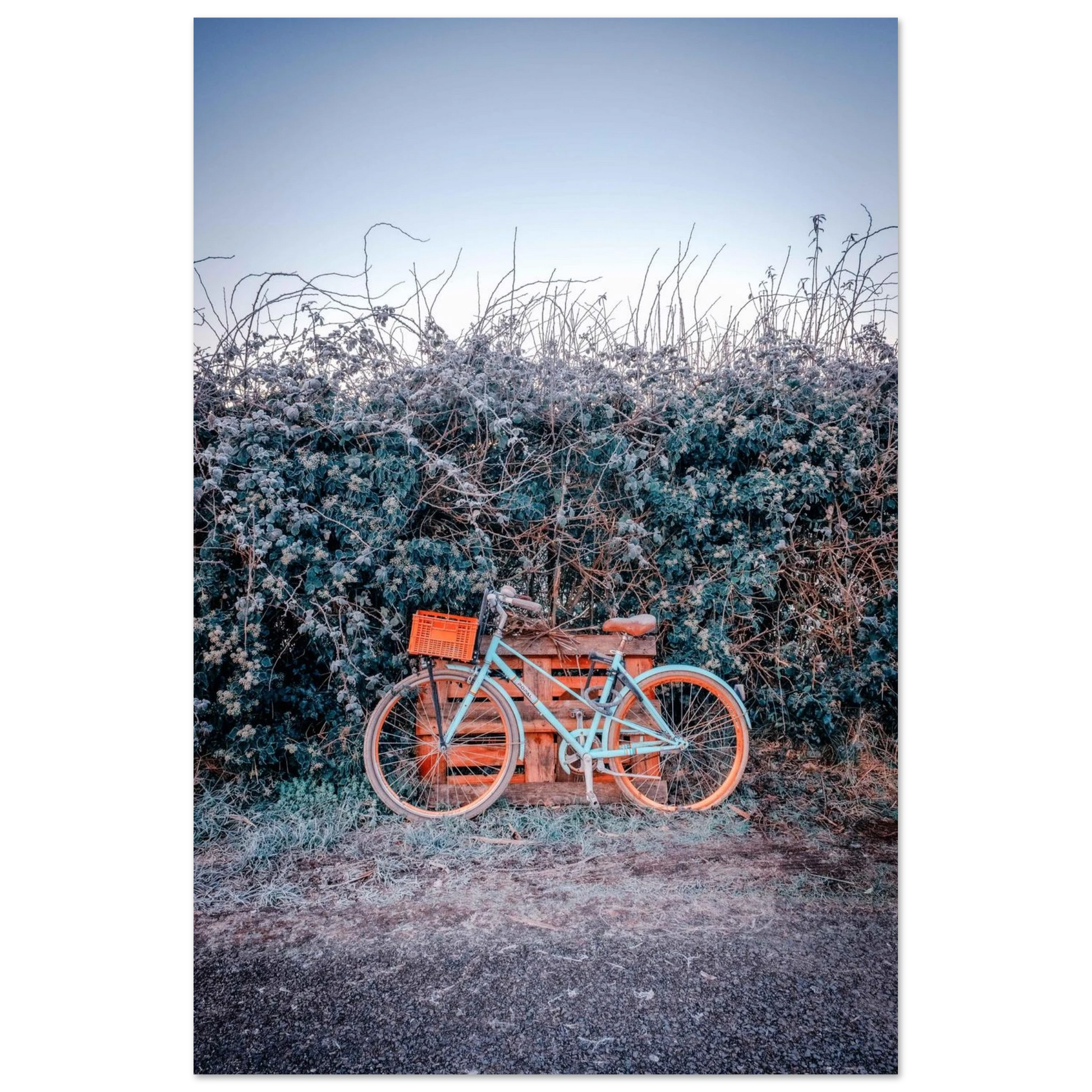 168e59ae-f7bb-448a-9cbb-eda3549a11e3