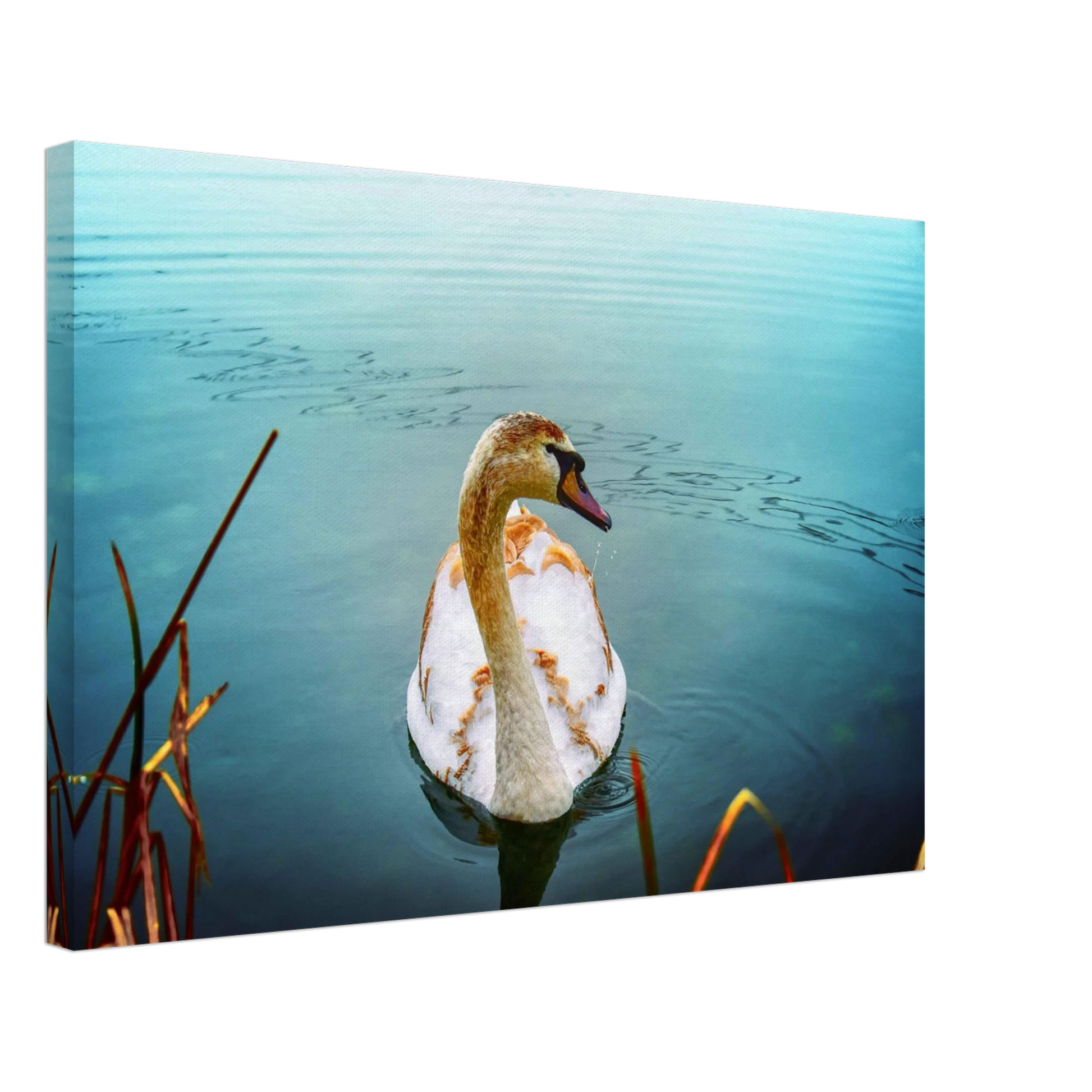 168fec3d-5e2a-4e70-8497-7ca0a277a254