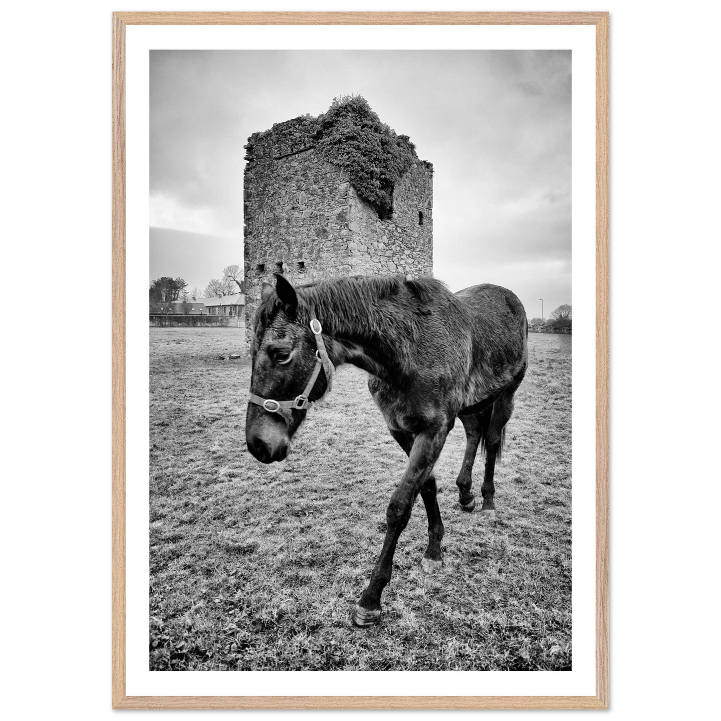 16a26001-ed8c-4df2-a99a-1abe3994c8dd