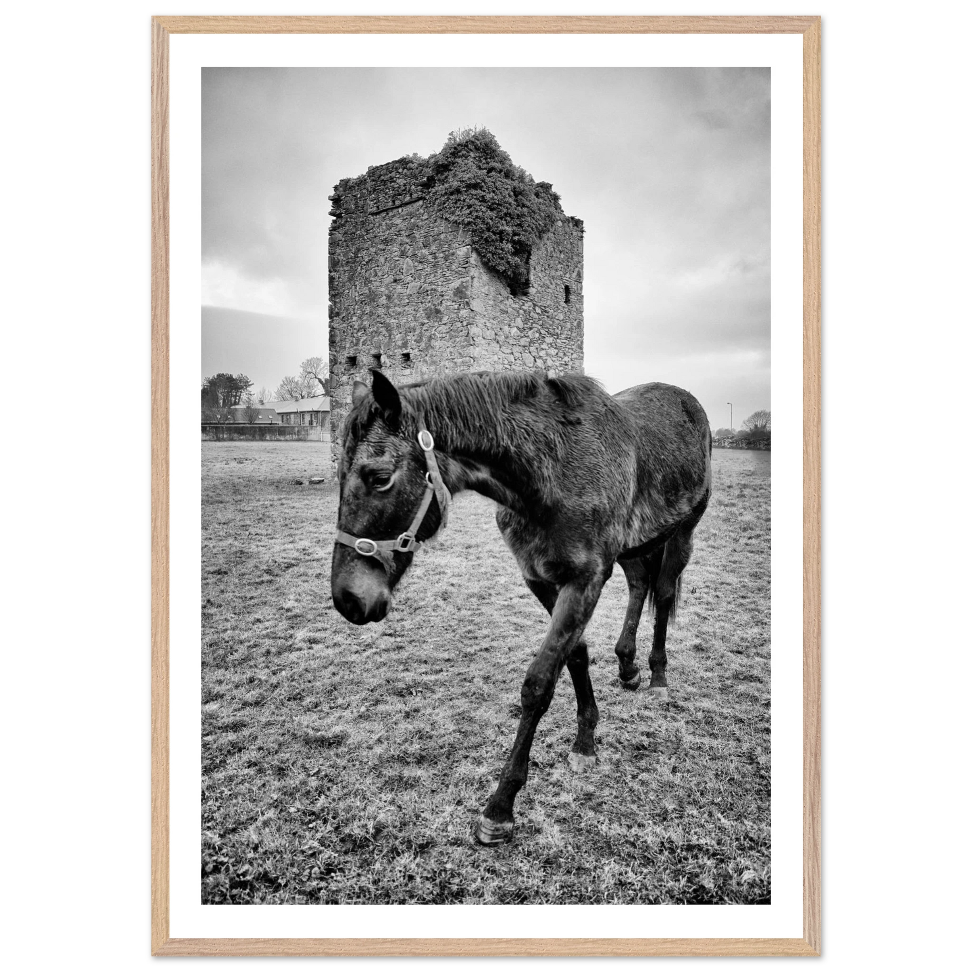 16a26001-ed8c-4df2-a99a-1abe3994c8dd