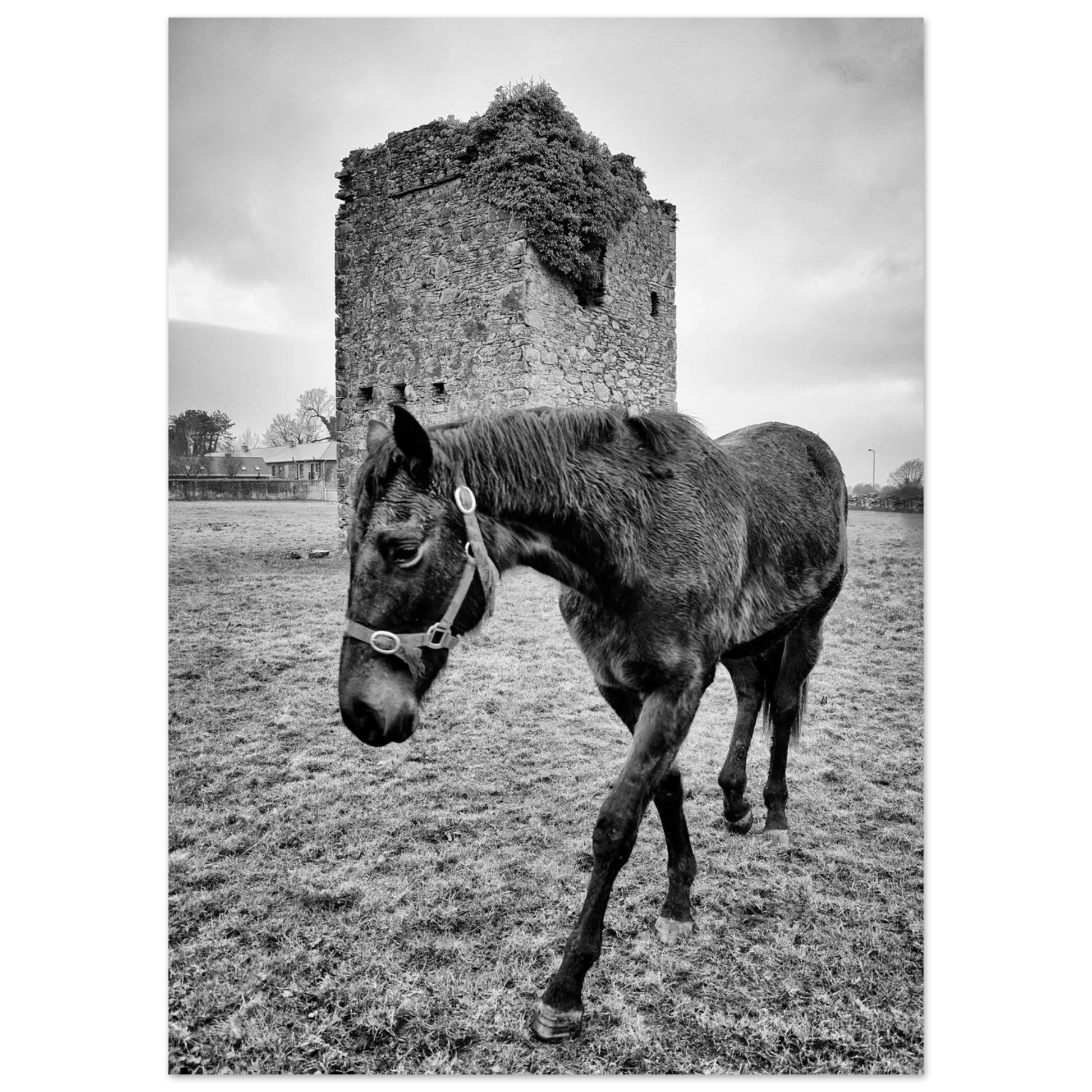 170cc7ae-7816-49cf-b990-07d992e25f23