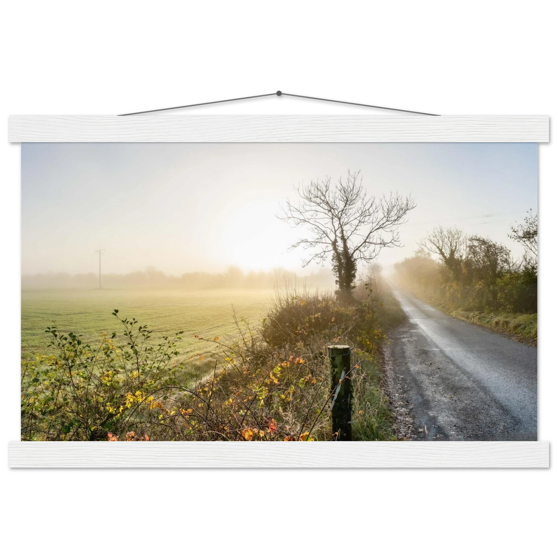 170fd211-97fc-44f4-98fe-a14348244f18