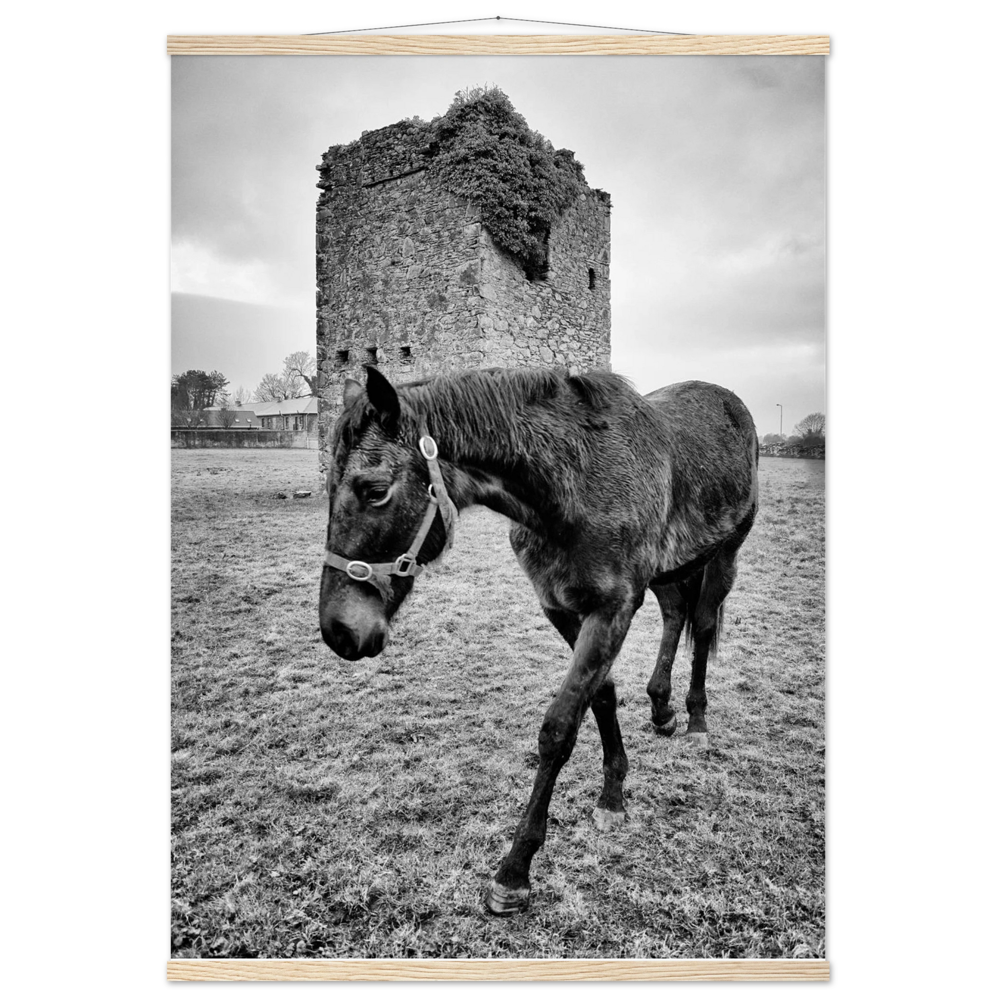 17102def-6f06-47f6-a30b-34a51c222c69