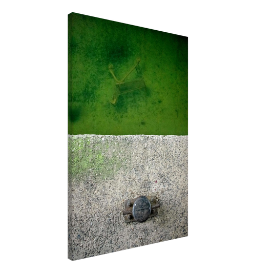 17dfb55e-694d-42a5-a596-cec796f8d51b