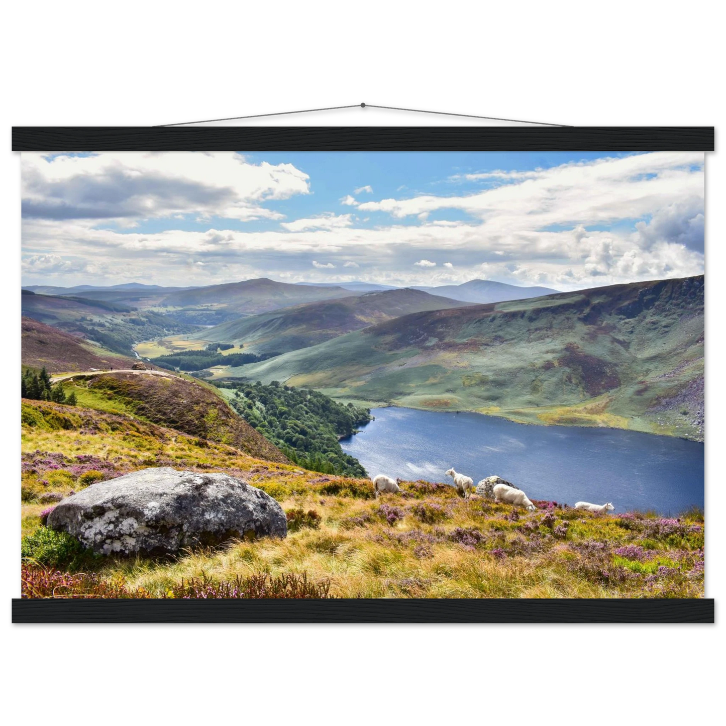 17e5868f-6739-4bed-be62-c1f04e8c619b