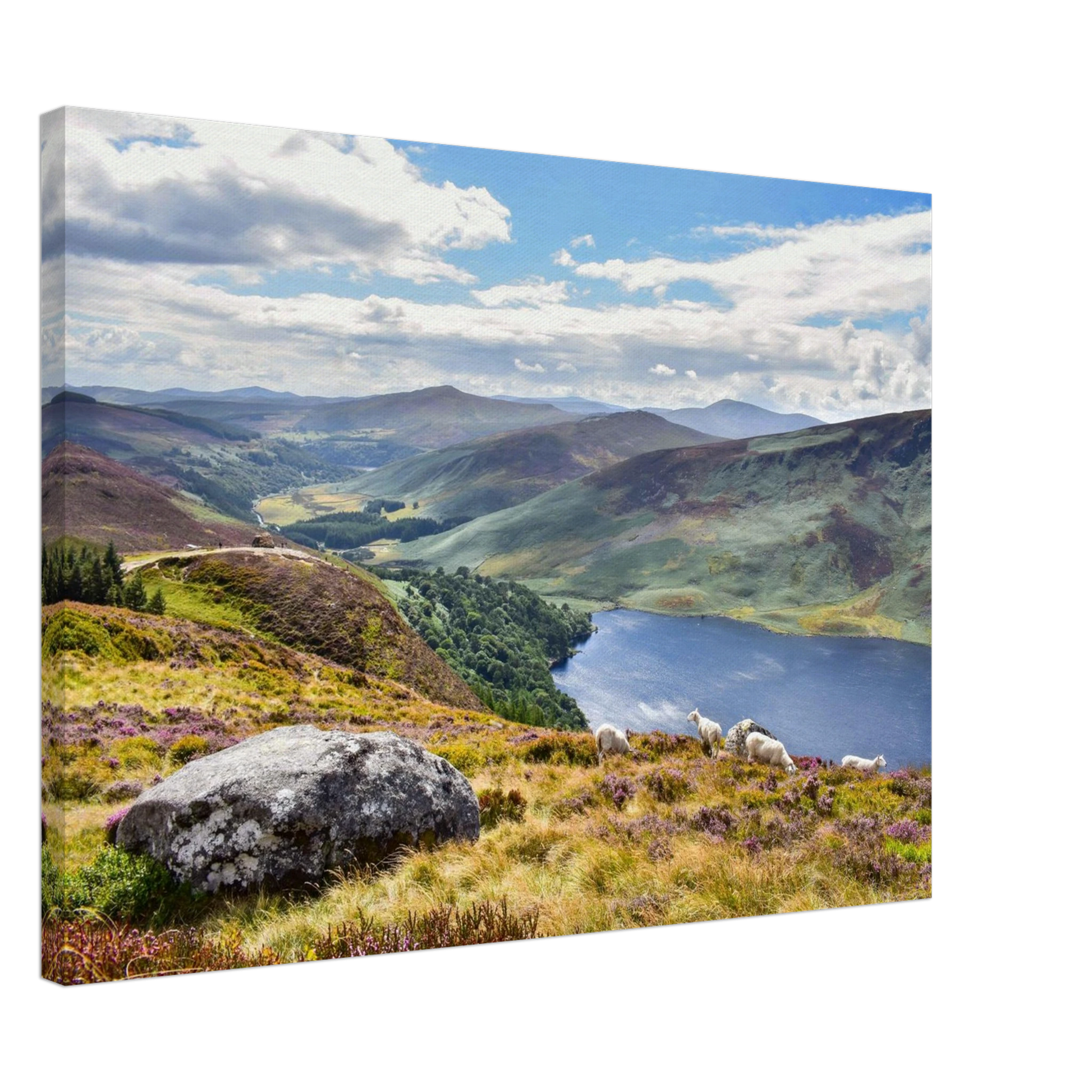 1846561d-eb96-4fe1-9f62-1212c8d43428