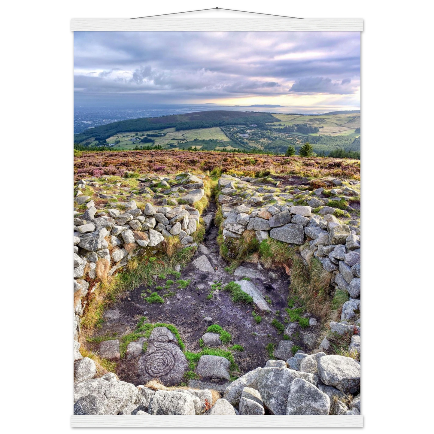 184fd918-16a9-43b5-b5f7-28374cde2c91