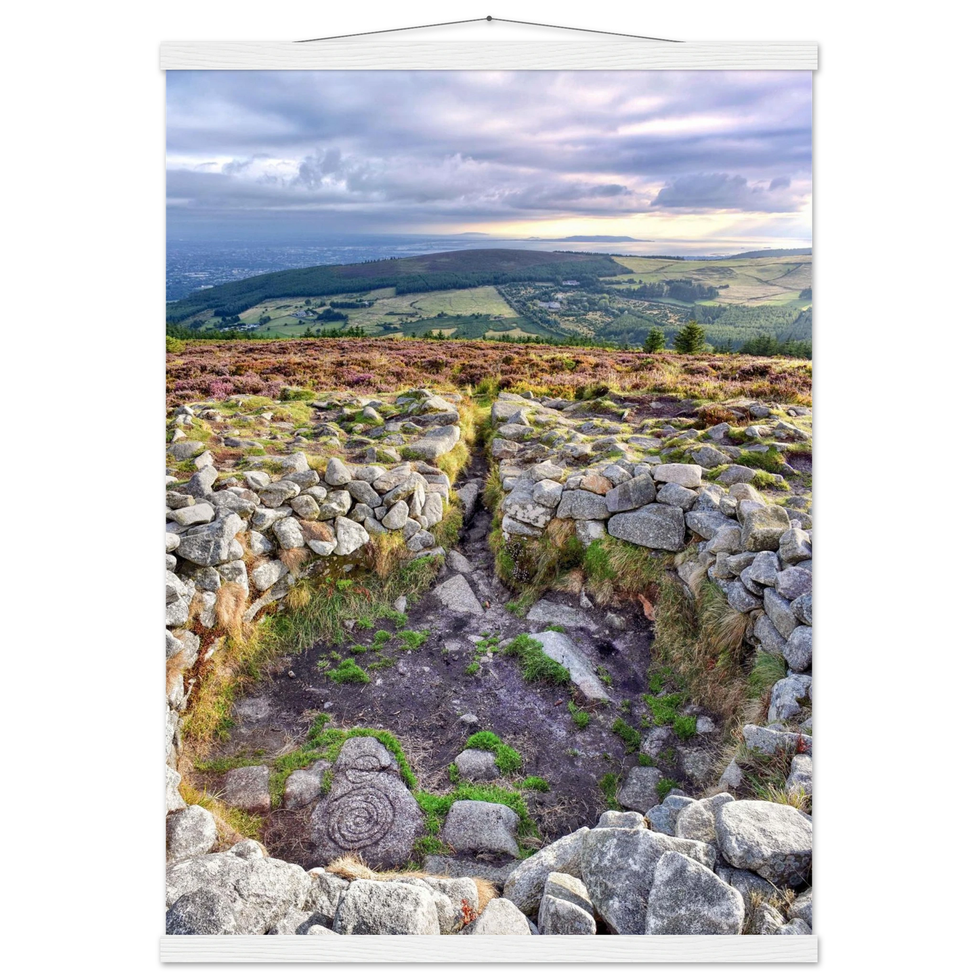 184fd918-16a9-43b5-b5f7-28374cde2c91