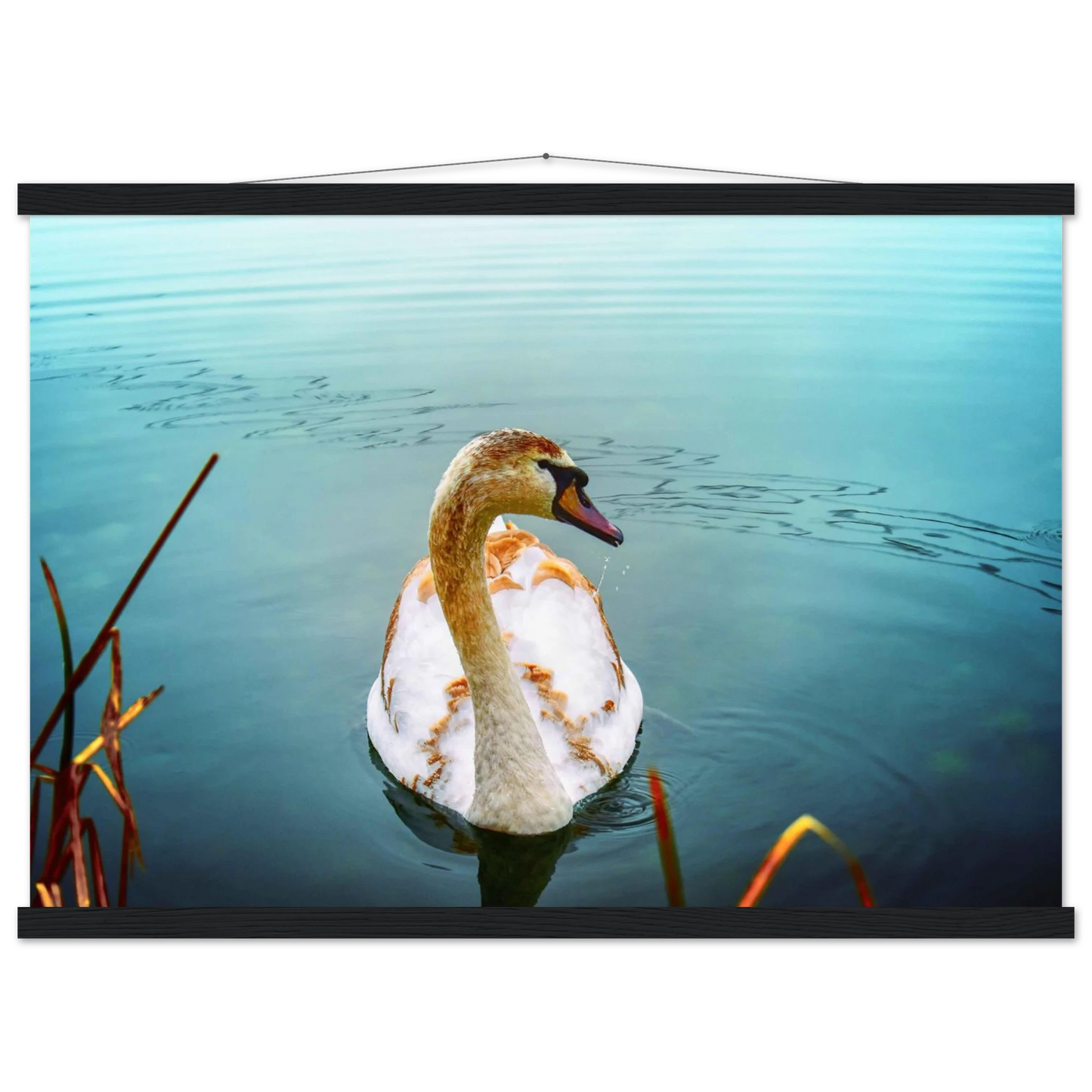 18b0f025-b726-4152-b412-c5fe4b018902