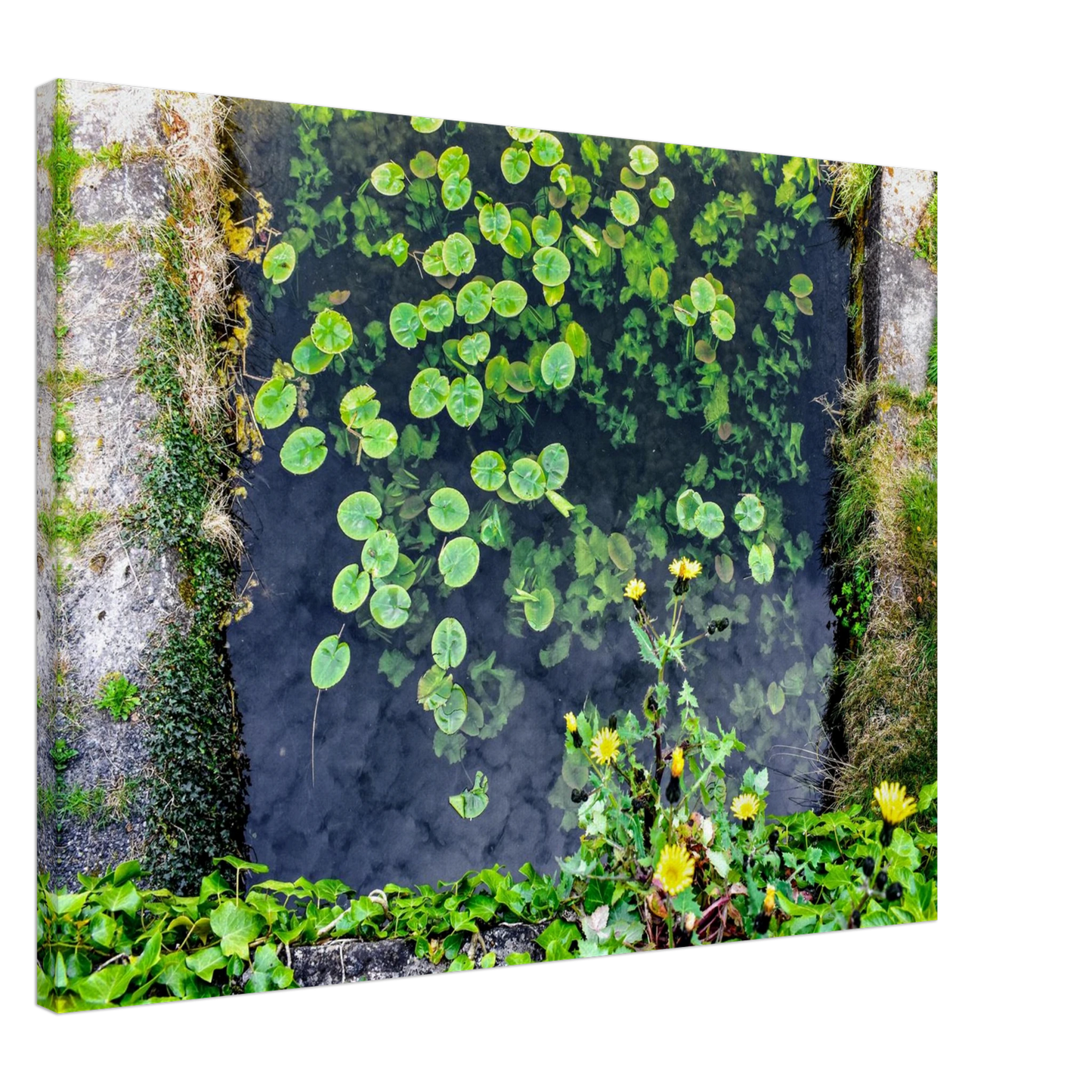 18d25c30-ff3e-4cc1-8d71-44675458046c