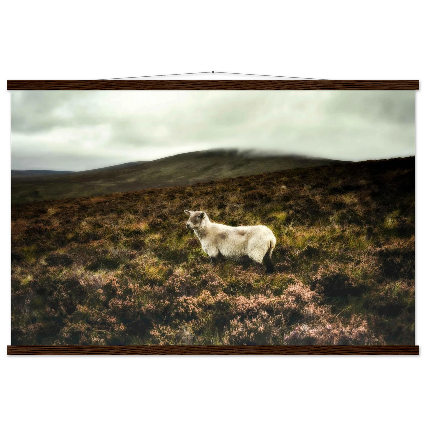 18fe82da-c222-4f37-96ec-2c4545222060