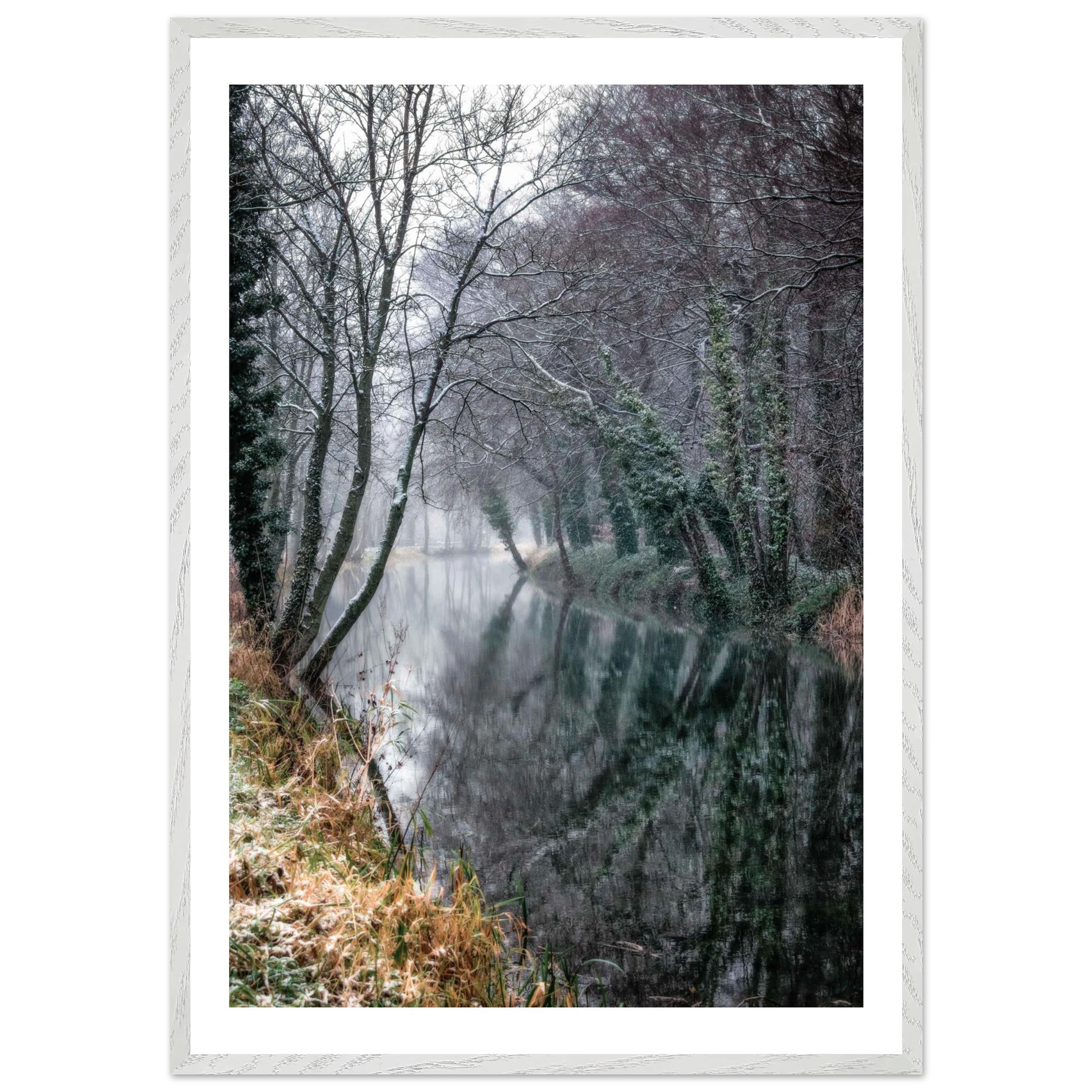 195a4266-3f3a-4e39-bdff-d481c80b989c